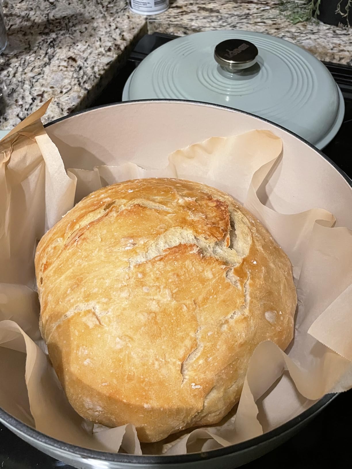 Lodge Essential Enamel Cast Iron Dutch Oven 6 Quarts - Oyster White customer photo 1