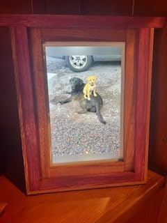 Skylight Frame - WiFi Digital Picture Frame Customer Support, Touch Screen Digital Photo Frame with Easy Setup, Photo Gifts for Parents and Grandparents - 10 Inch Black customer photo 2