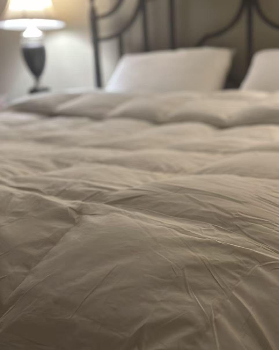 Globon Winter Goose Down Comforter King Size, 800 Fill Power Duvet Insert | Luxury 420 Thread Count, Ultra Soft Noiseless Shell with Corner Tabs, White 106x90 inches customer photo 2