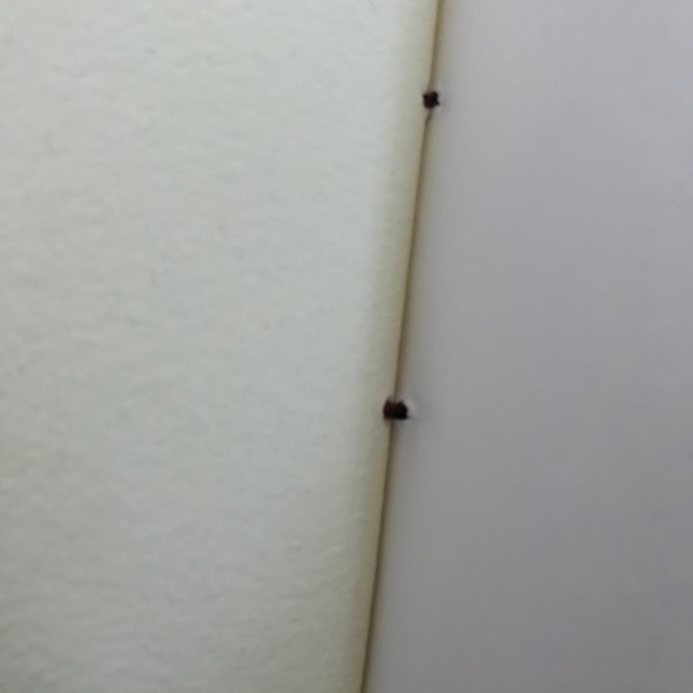 Rustic Town Full Grain Leather Photo Album with Gift Box - Scrapbook Style Pages customer photo 1