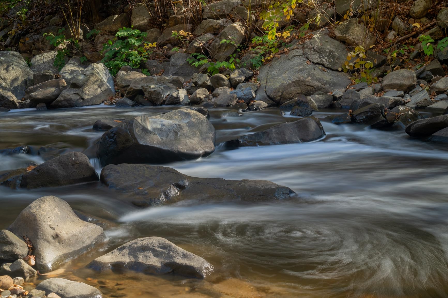 NIKKOR Z 24-70mm f/2.8 S | Professional Large Aperture mid-Range Zoom Lens for Z Series mirrorless Cameras customer photo 2
