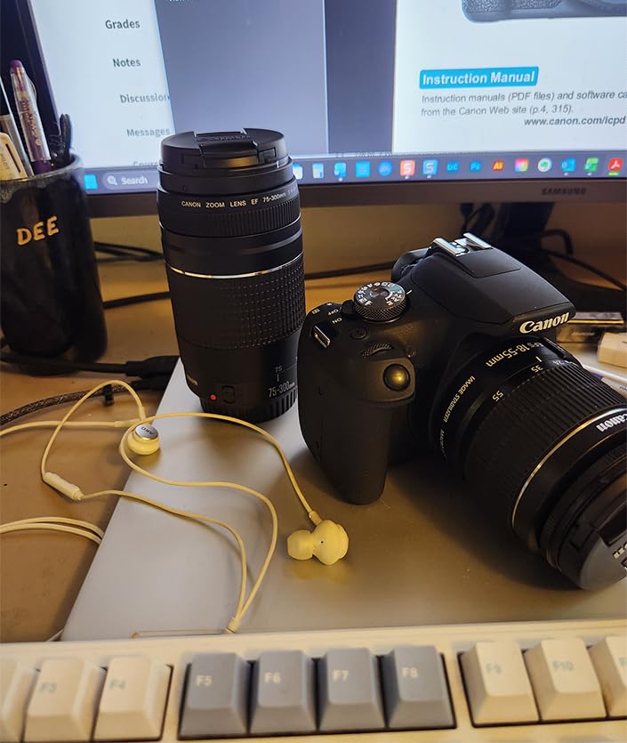 Canon EOS Rebel T7 DSLR Camera with EF 18-55mm and 75-300mm Double Zoom Kit Bundle customer photo 1