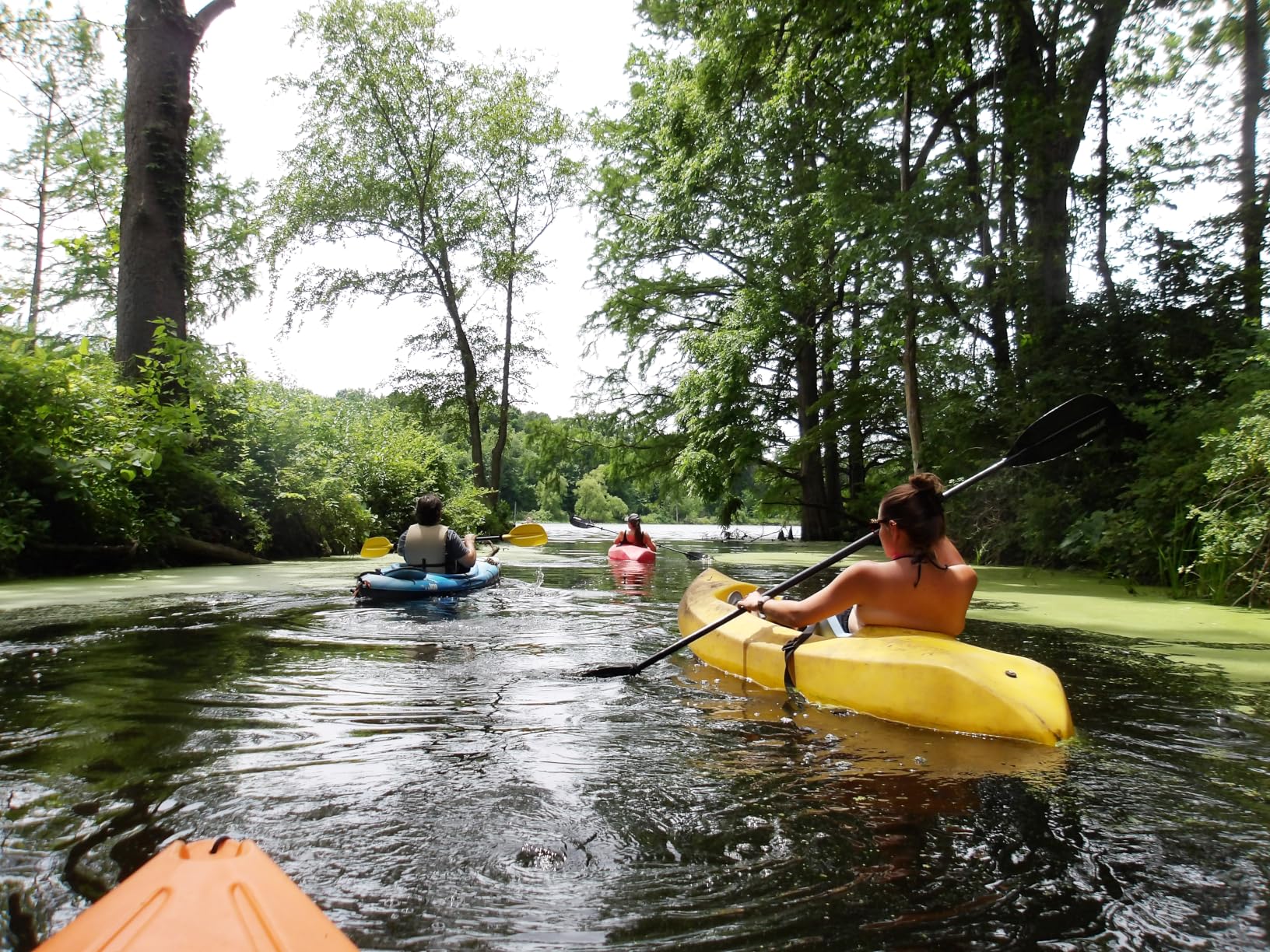 KODAK PIXPRO WPZ2 16MP Waterproof Digital Camera, 15m, 4X Zoom, 1080p Full HD Video, Shockproof 2m, Wi-Fi customer photo 1