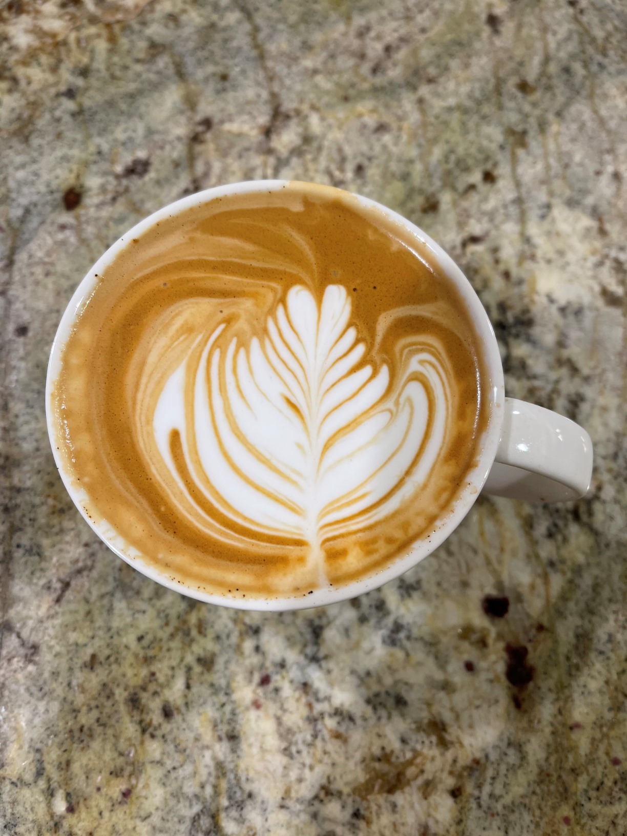 Breville BES878BSS Barista Pro Espresso Machine, Brushed Stainless Steel customer photo 1