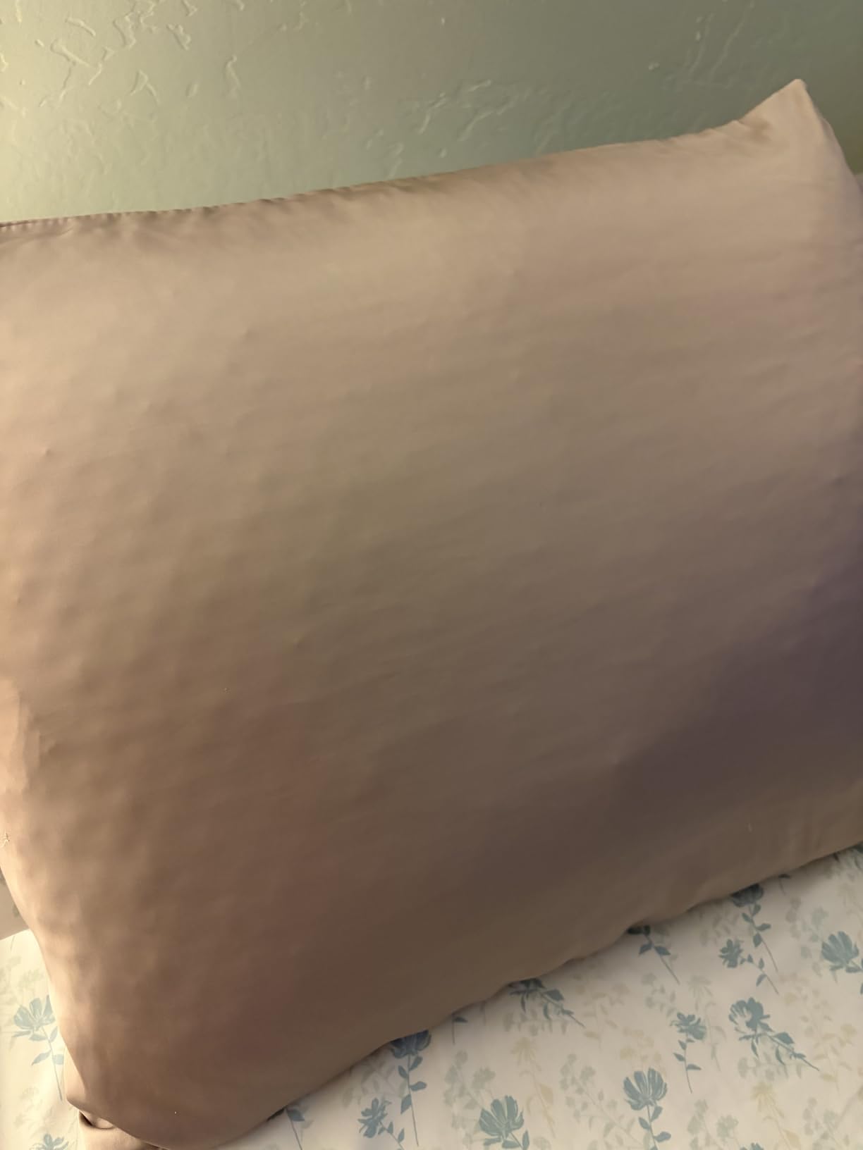 Mulberry Silk Pillowcase for Hair and Skin Standard Size 20