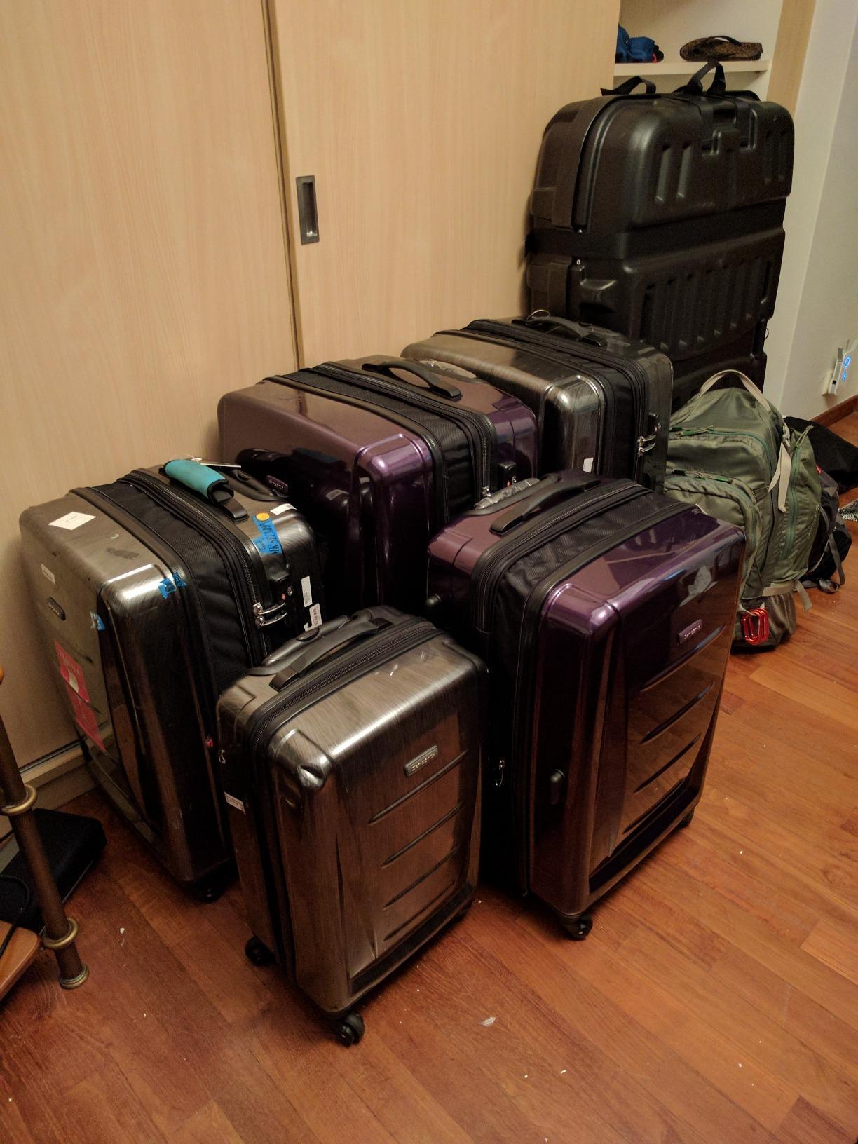 Samsonite Winfield 2 Hardside Luggage with Spinner Wheels, 3-Piece Set (20/24/28), Cactus Green customer photo 1