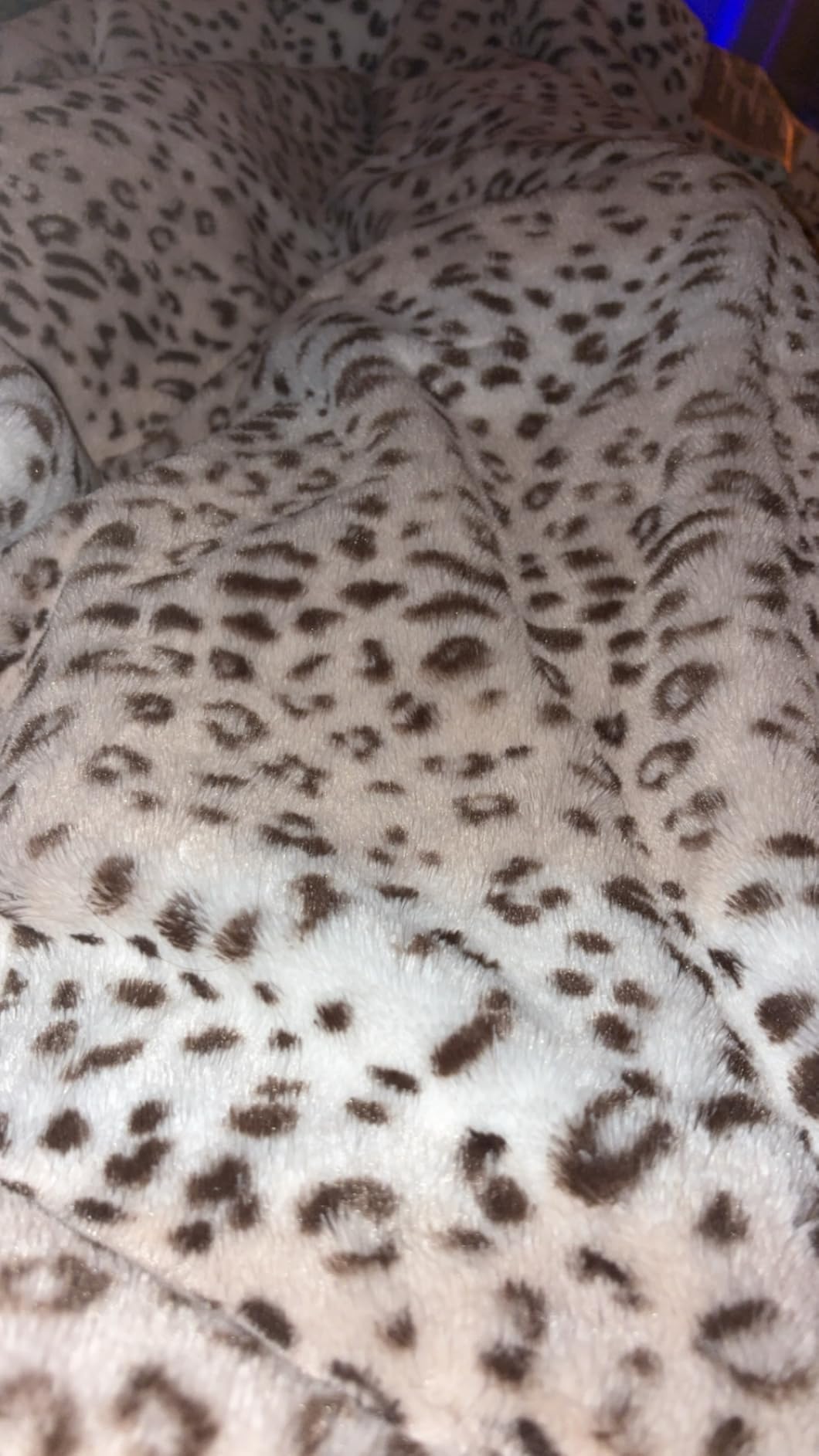 Westinghouse Heated Blanket King, 100