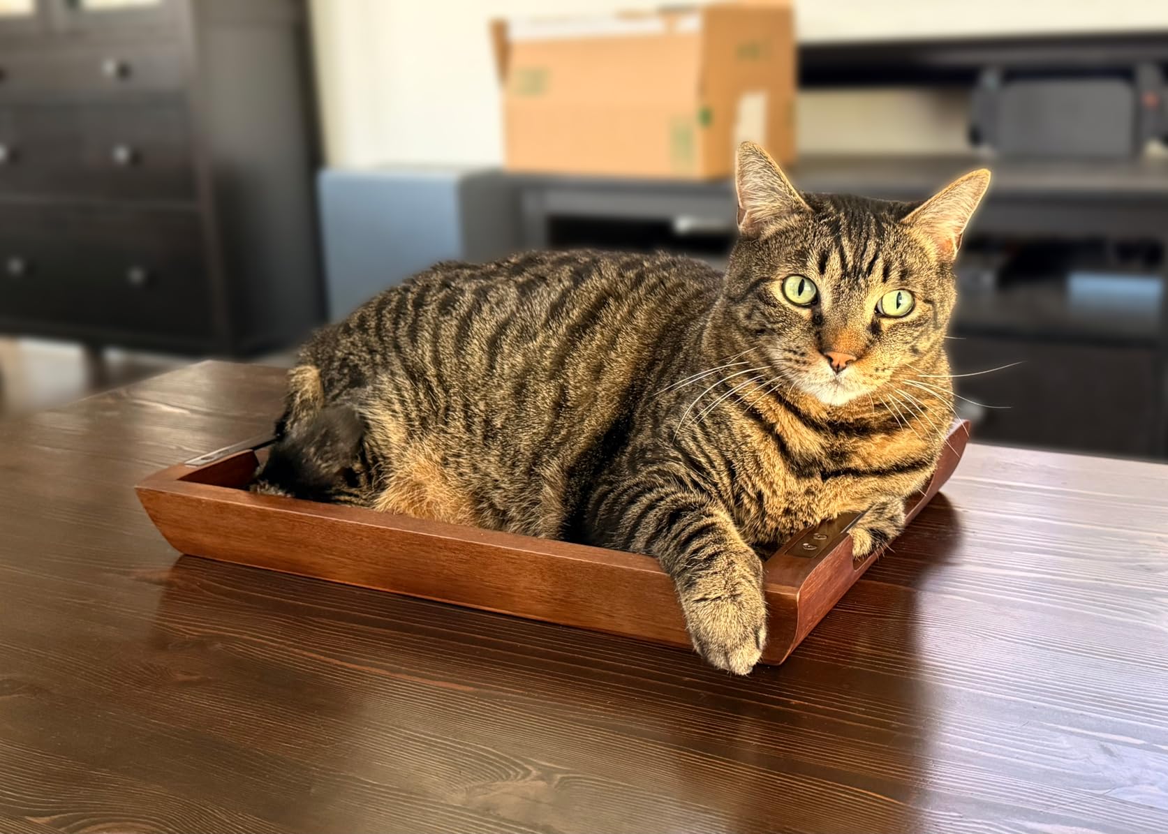 Acacia Wood Serving Tray with Metal Handles, 17x13in Food Drinks Tray for Coffee Table, Breakfast, Dinner & Bar, Rustic Decorative Storage Tray for Ottoman, Kitchen, Elegent Box for Gift customer photo 1