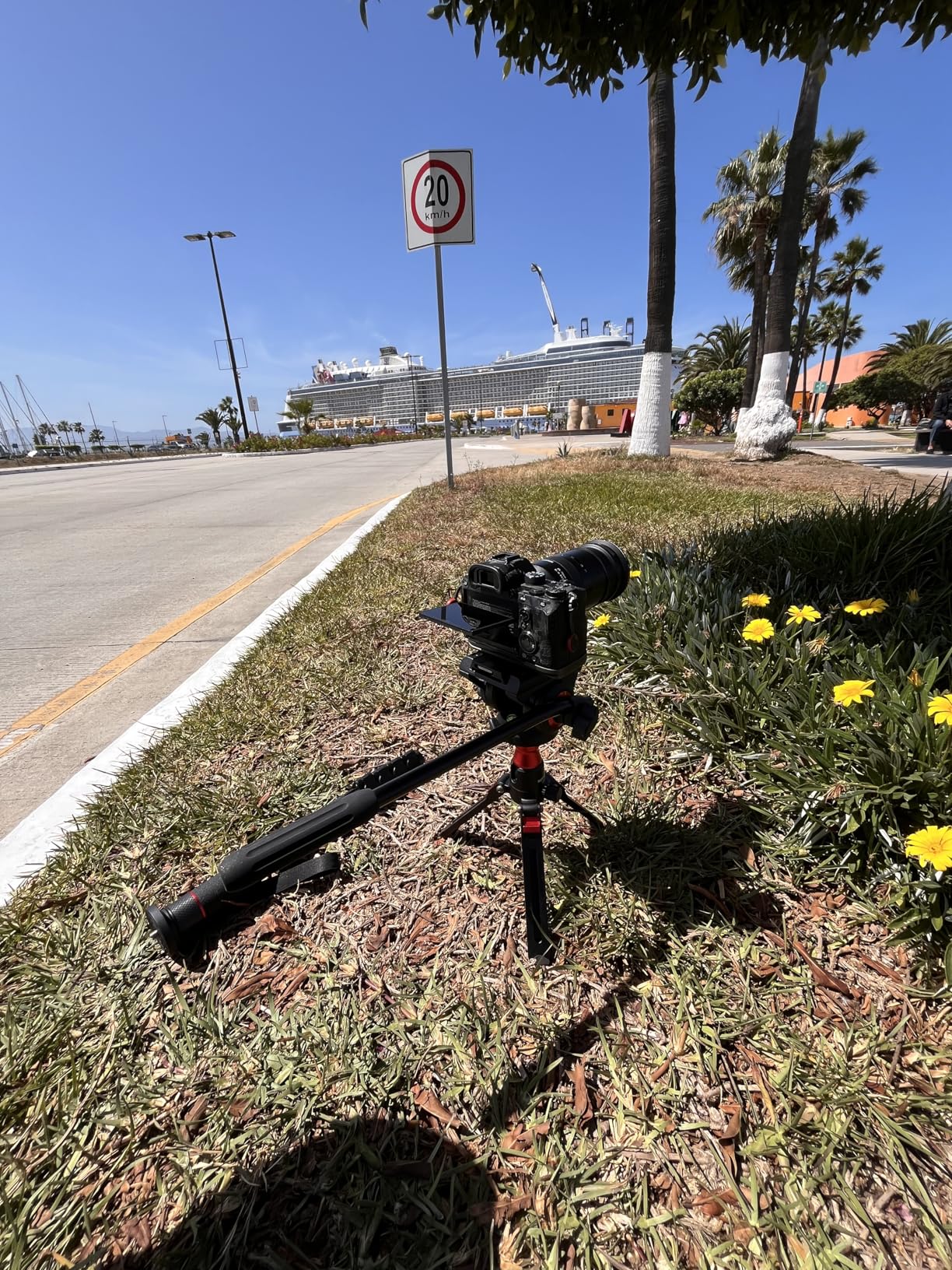 NEEWER Professional Camera Monopod with Feet, 70.5