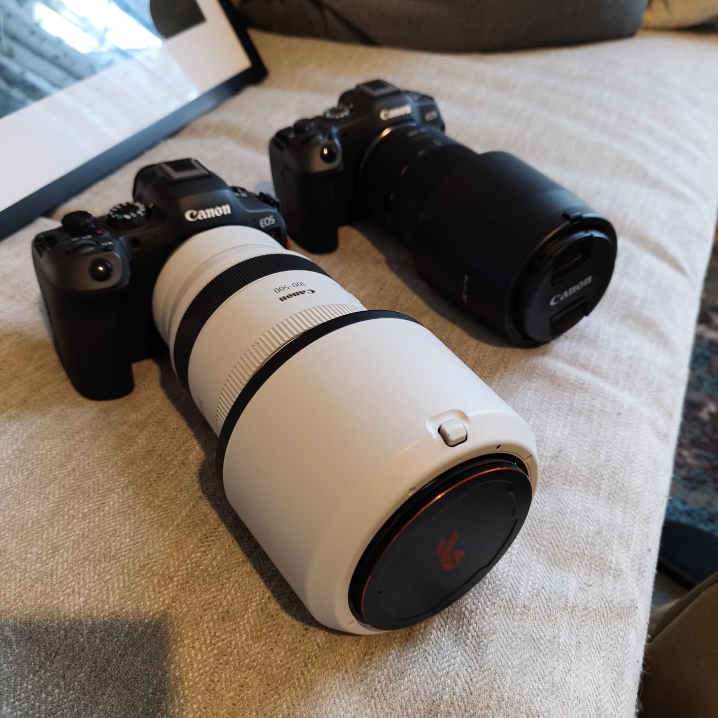 Canon EOS R8 Mirrorless Camera Body, Full-Frame CMOS Sensor, 24.2MP, 4K 60p Video customer photo 1