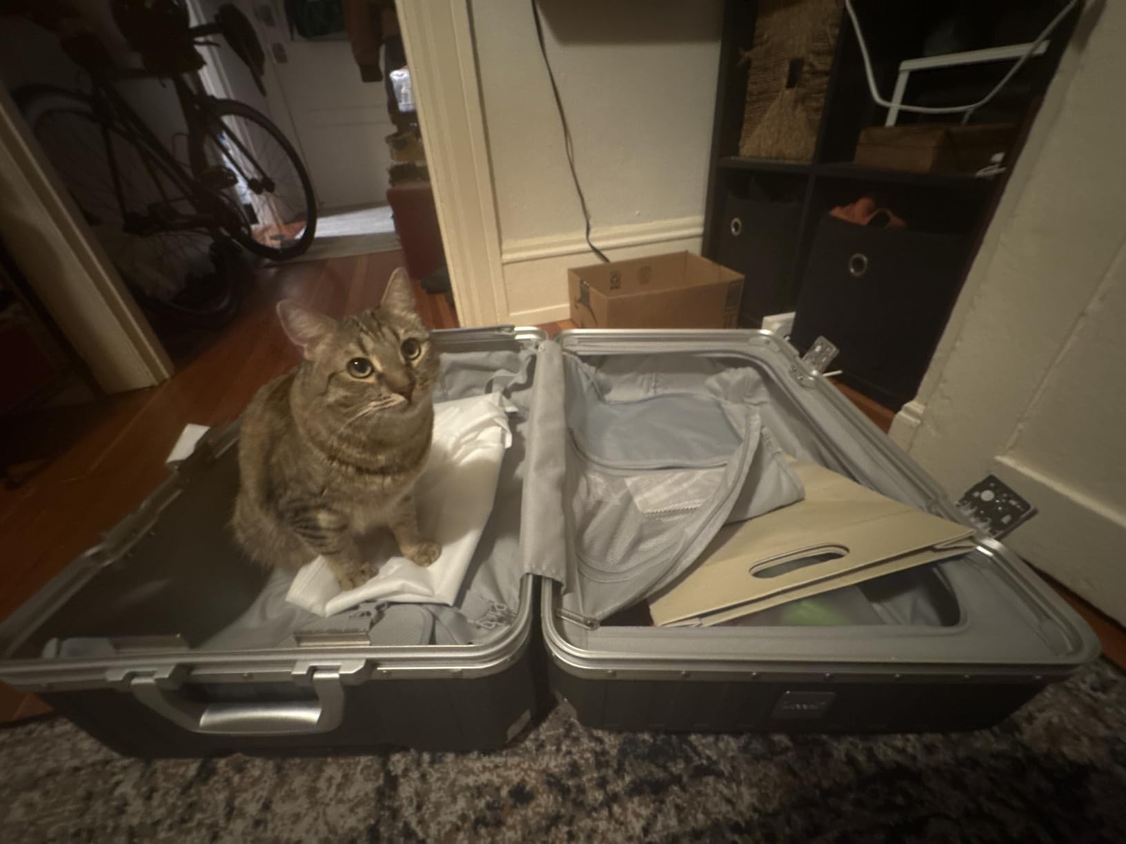 Checked Suitcase with Spinner Wheels, 8010S Aluminum Frame Zipperless Polycarbonate Hard Shell Suitcase (ZX-Core, Silver Grey, 28 Inch) customer photo 1