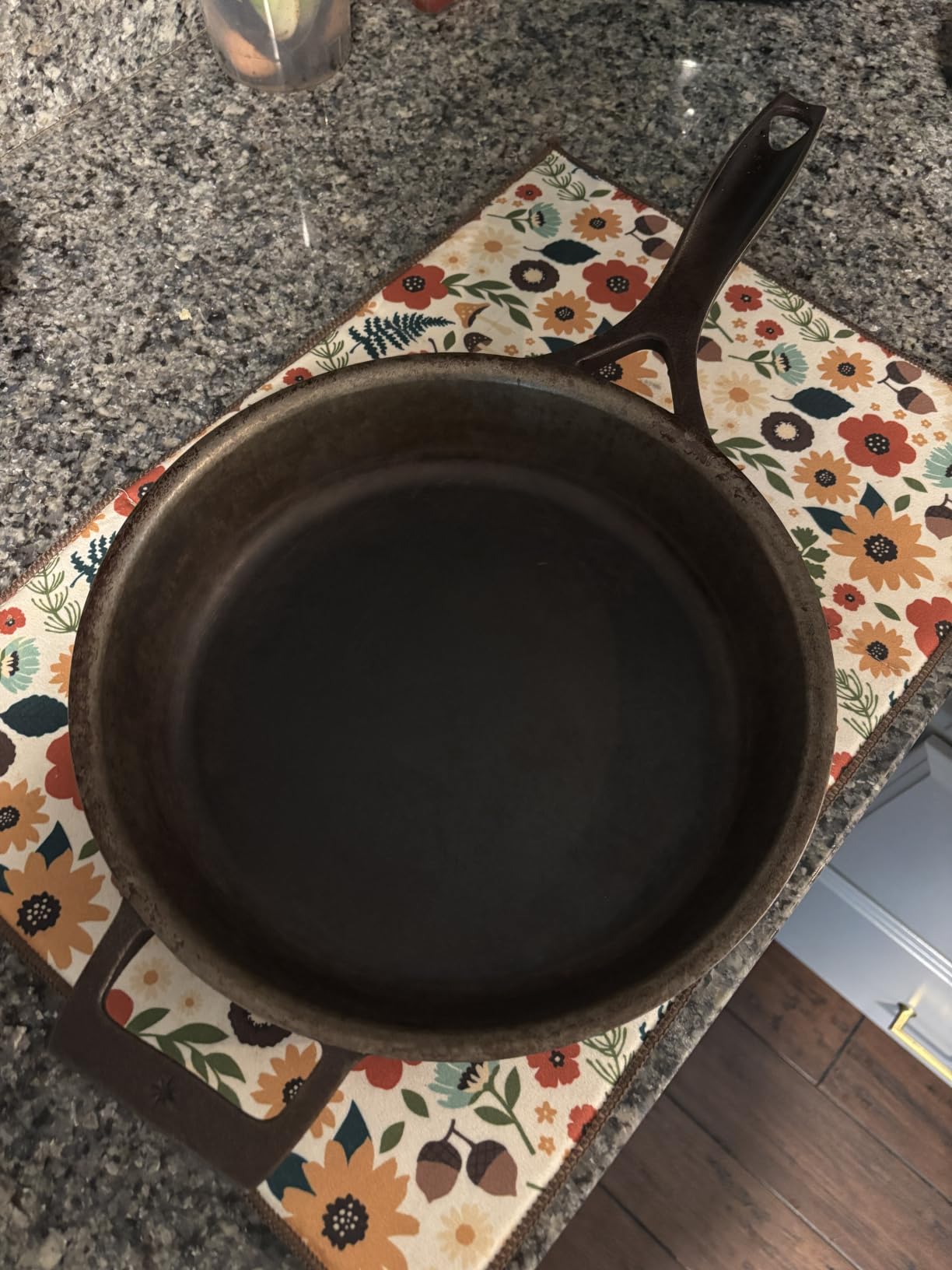 Stargazer 10.5-Inch Cast Iron Skillet | Made in USA, Seasoned, Premium Frying Pan for Grilling, Searing, Baking & More - Durable Cast Iron with Smooth Cooking Surface customer photo 1