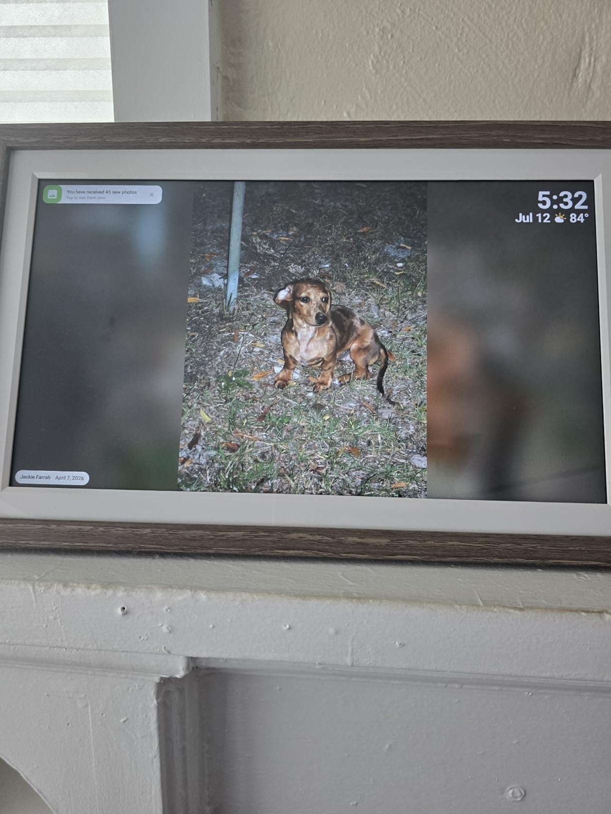 Digital Picture Frame, Frameo 15.6'' Digital Photo Frame WiFi Large Display, 1920*1080 IPS FHD Touch Screen customer photo 1