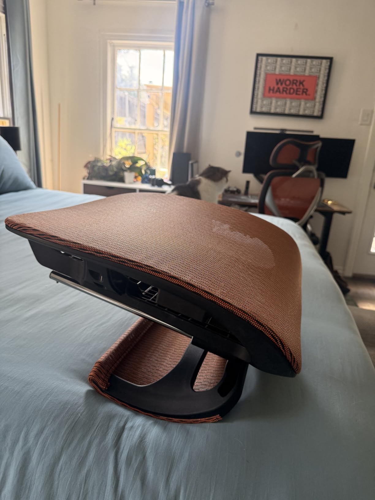 ELABEST X100 Ergonomic Office Chair with Footrest, Big and Tall Home Desk Chair with 5D Flip-Up Arms, Adjustable 3D Lumbar Support, High Back Rolling Computer Chair, Swivel Mesh Chairs (Foggy Morning) customer photo 1