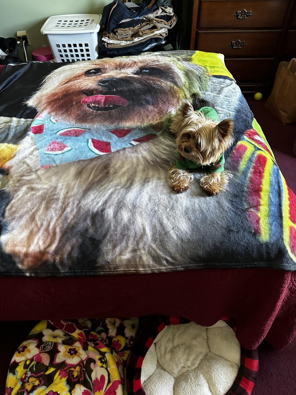 Ultragifta Custom Blanket with Picture Girlfriend Boyfriend Gifts Customized Fleece Photo Blanket Personalized Blankets for Couples Birthday Valentines Day Blankets Gifts for Husband Wife customer photo 1