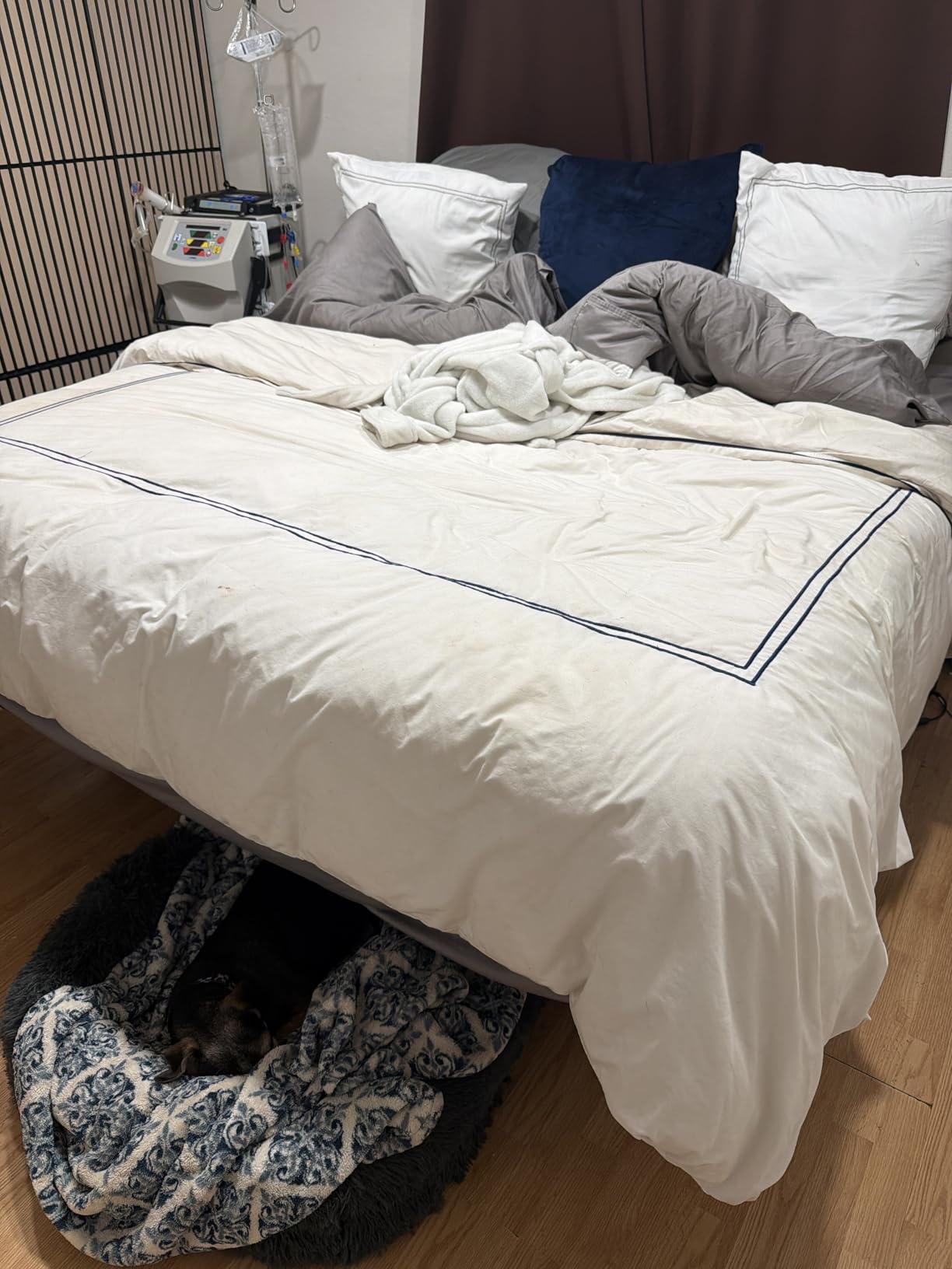 DOWNCOOL Feather Comforter Oversized King Size, 100% Cotton White 116