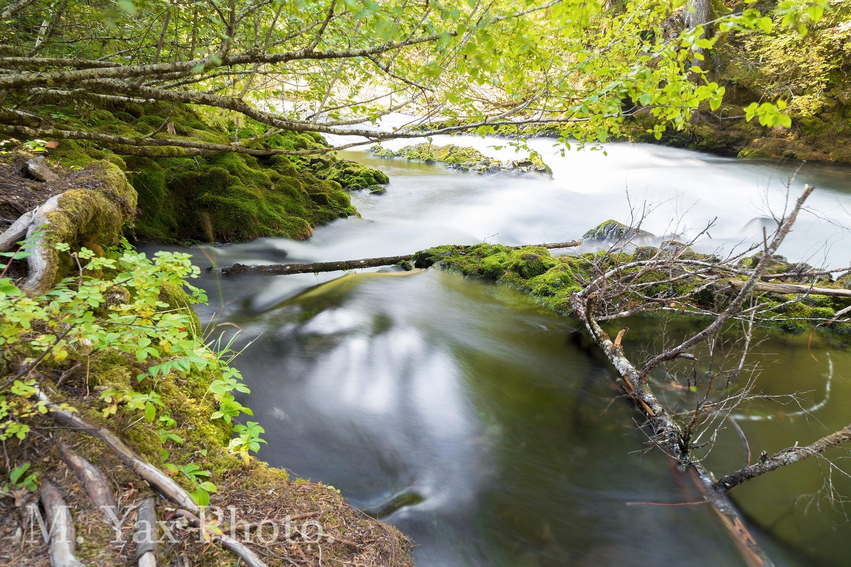 Tiffen 67mm Neutral Density 0.9 Filter | 0.9 solid ND filter with 67mm size and glass construction for landscapes, portraits and bright light photography customer photo 1