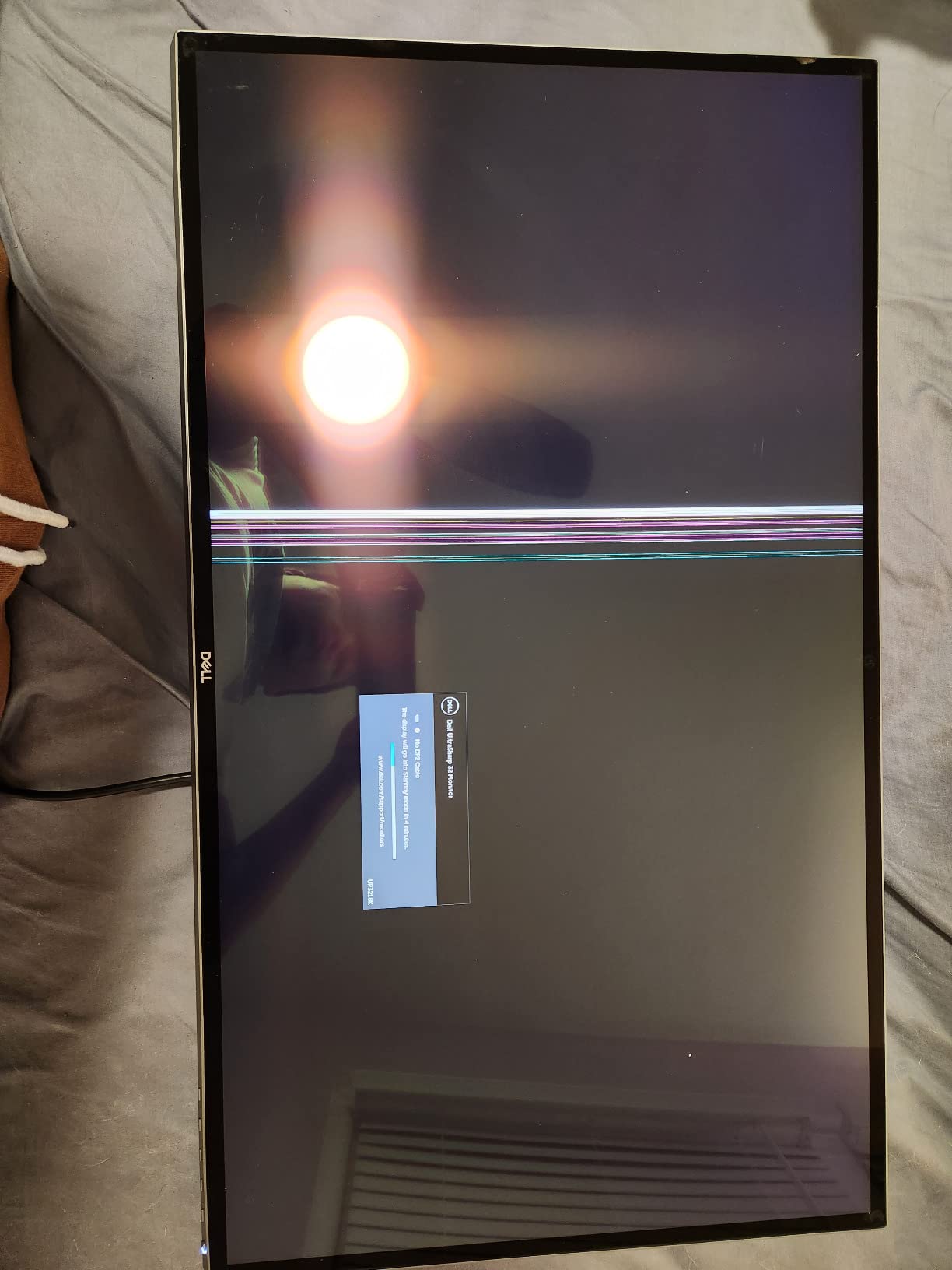 DELL LCD Screen Monitor 32