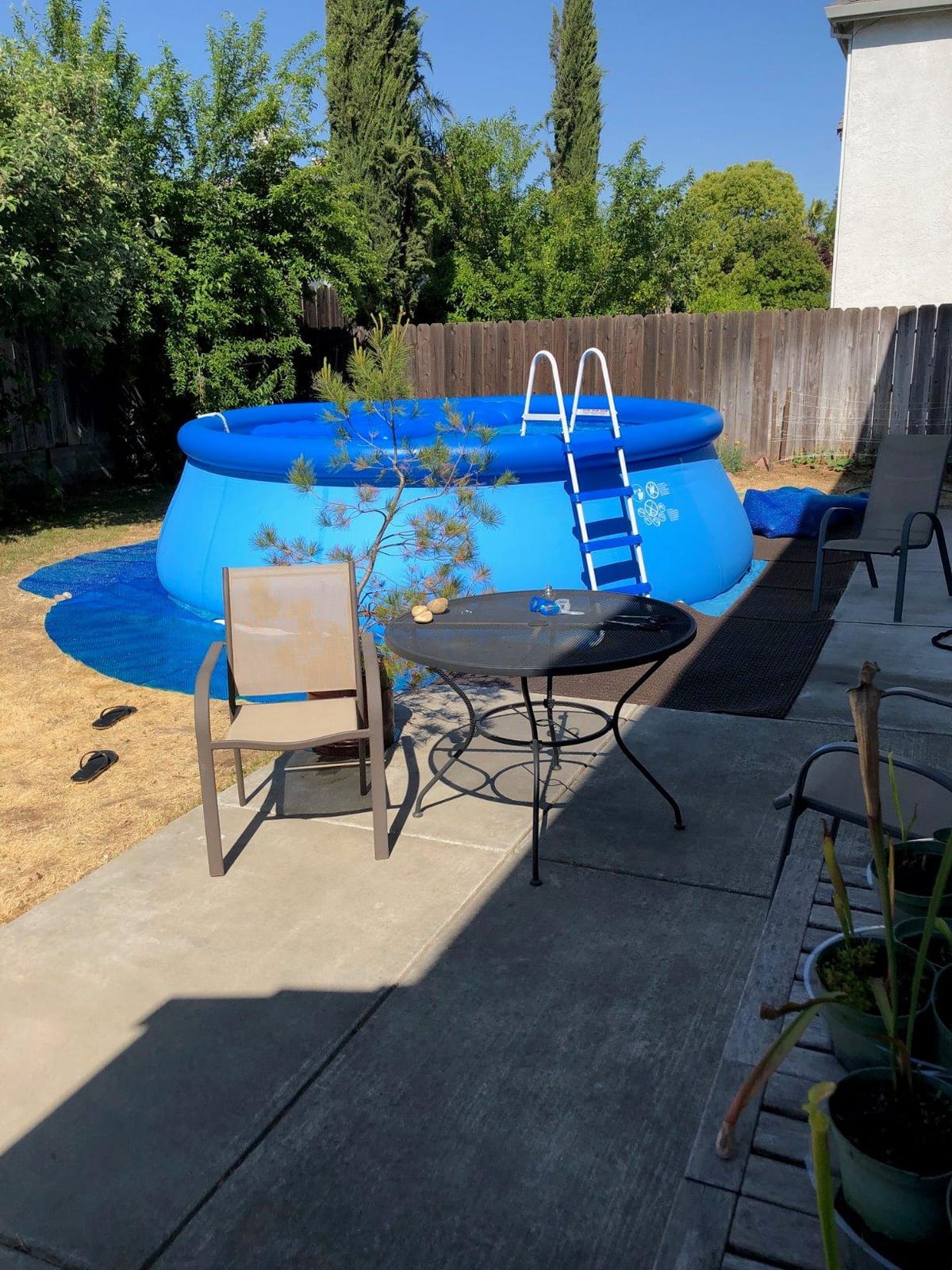 INTEX Easy Set 15 ft x 48in Inflatable Ring Above Ground Pool Set w/Pump | 26167EH - 1000 GPH Cartridge Filter Pump, Ladder, Pool Cover & Ground Cloth Included customer photo 2