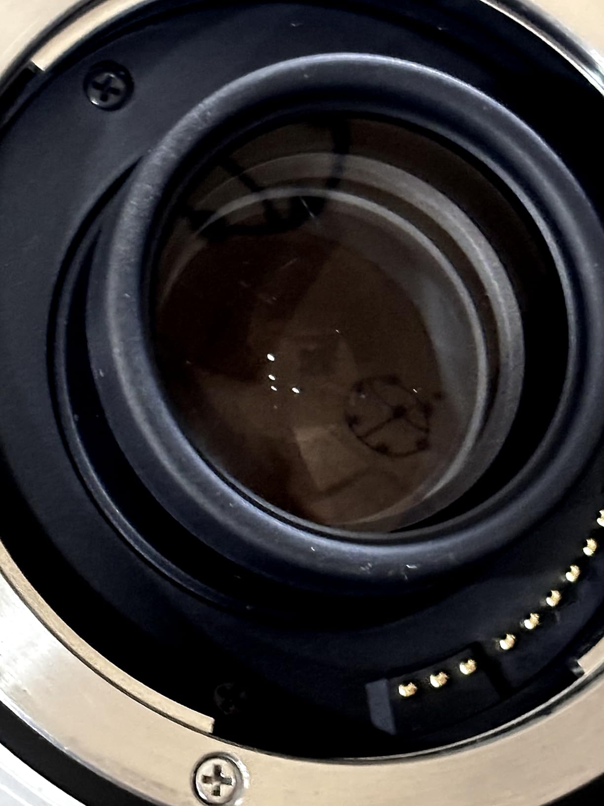 Canon EF 2.0X III Telephoto Extender for Canon Super Telephoto Lenses (Renewed) customer photo 1
