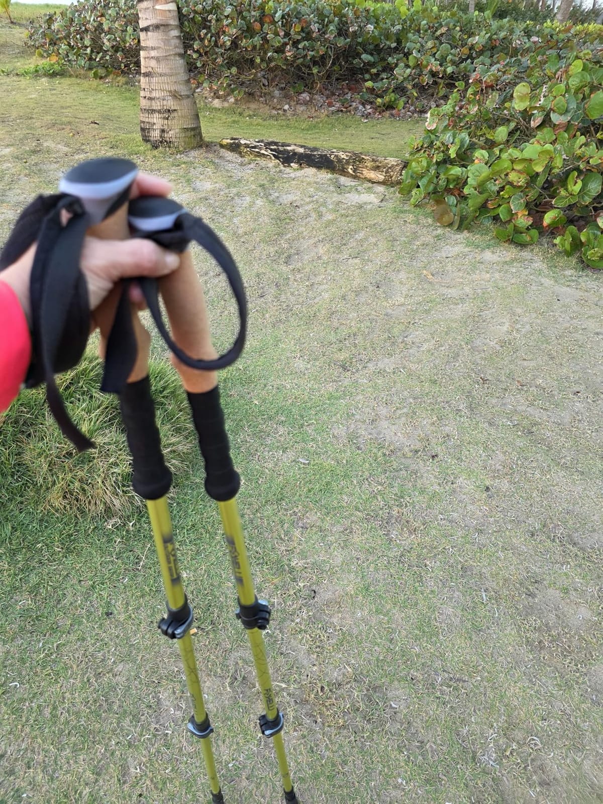 Foxelli Trekking Poles – Lightweight Collapsible Aircraft Grade Aluminum Hiking Poles with Cork Grips Quick Locks & All-Terrain Accessories – Pair of 2 customer photo 2
