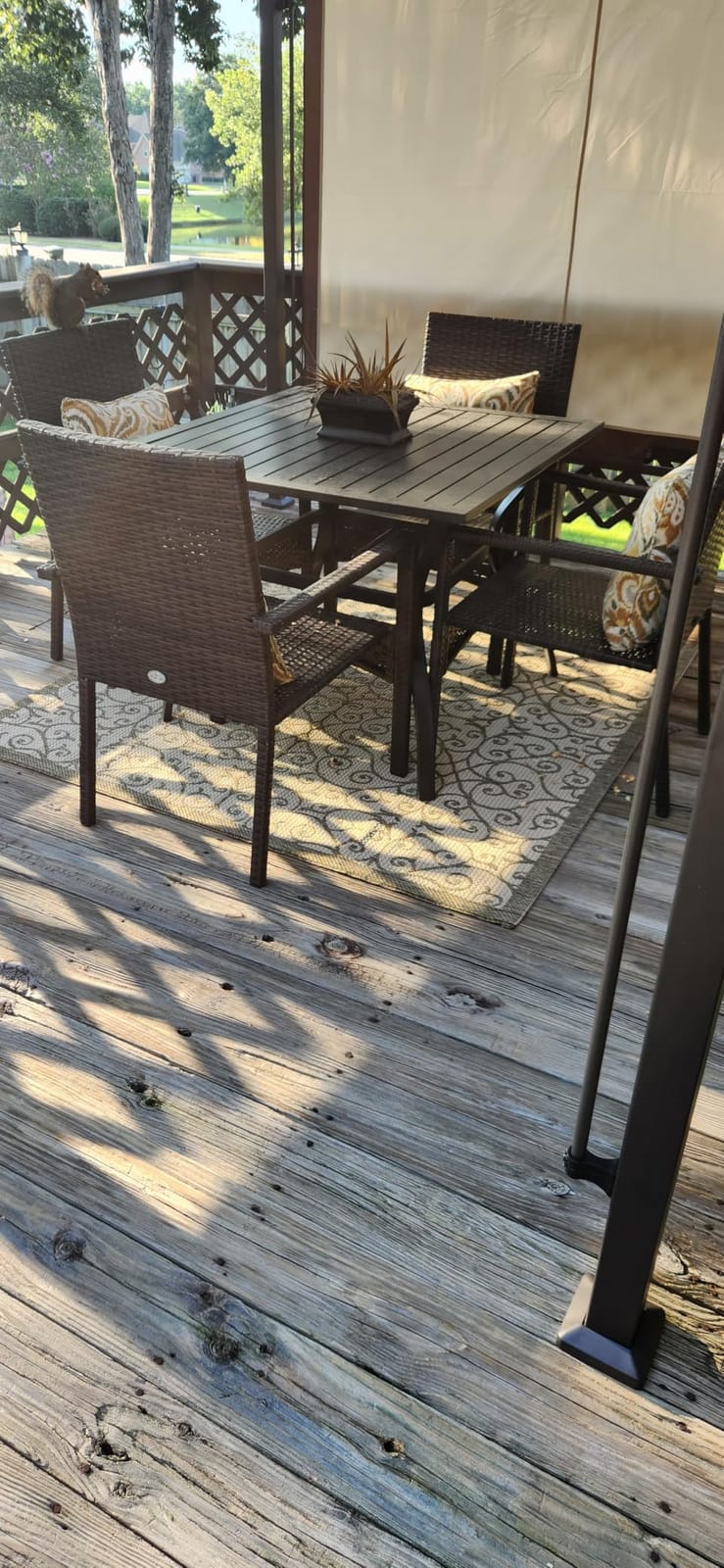 JONATHAN Y Vintage Filigree Indoor Outdoor Area Rug 8X10 Black/Khaki, Madrid Textured Weave for Backyard, Patio, Porch, Easy-Cleaning, High Traffic, Pet-Friendly, Non-Shedding (SMB107A-8) customer photo 2