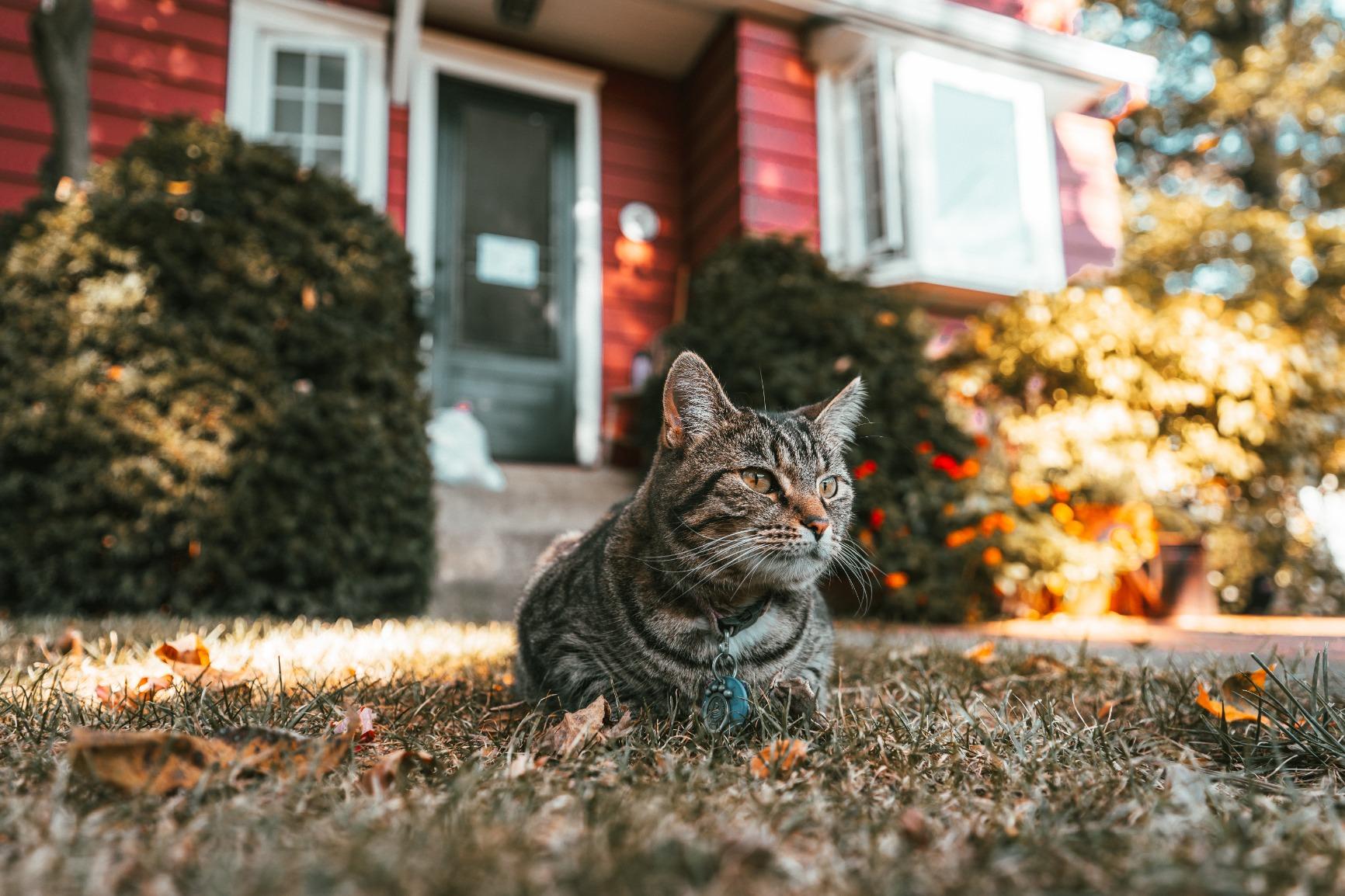 Tamron 17-28mm f/2.8 Di III RXD for Sony Mirrorless Full Frame/APS-C E Mount, Black (AFA046S700) customer photo 2