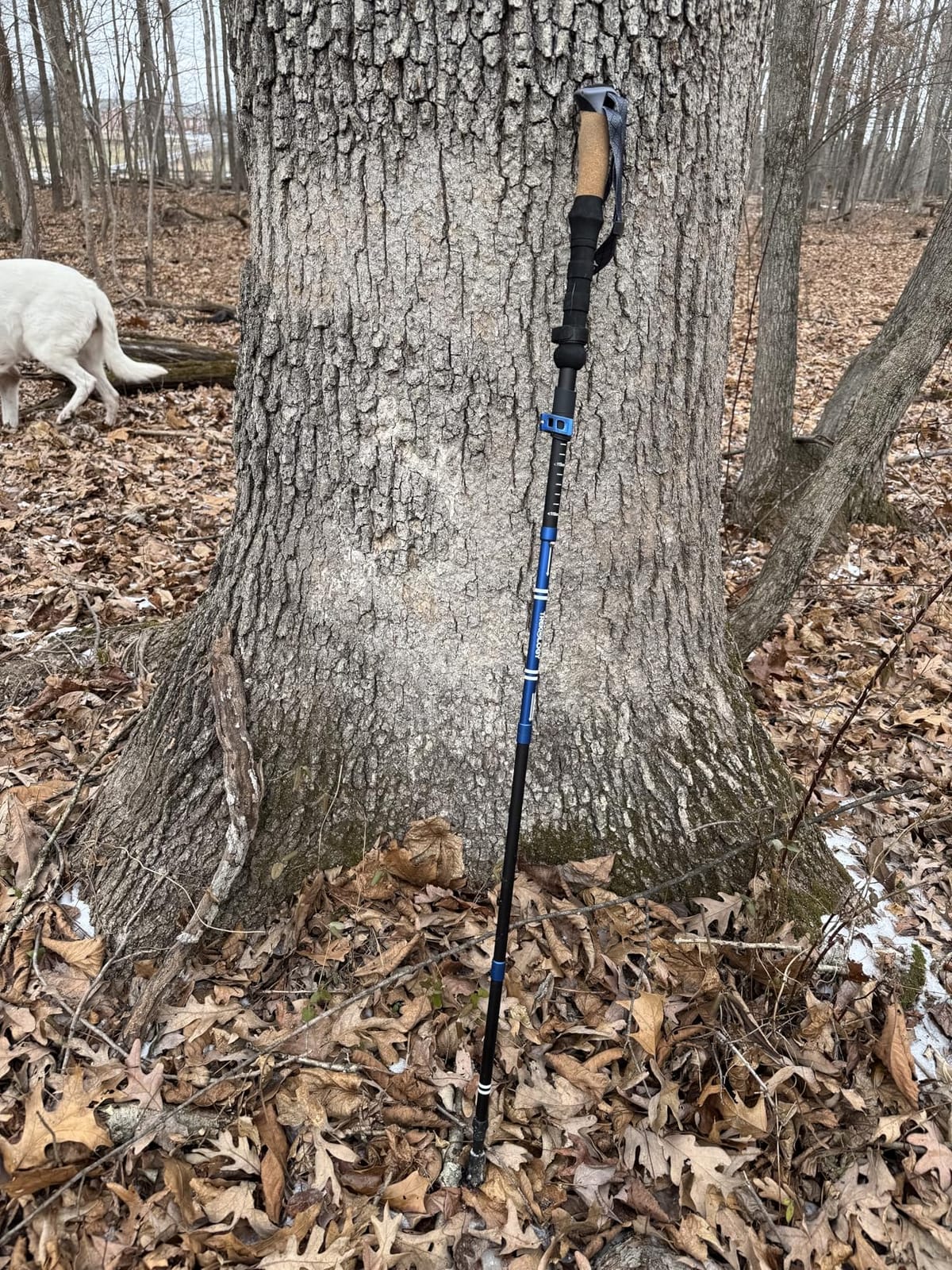 Trekology Trek-Z Cork Grip Collapsible Lightweight Hiking Trekking Poles customer photo 2