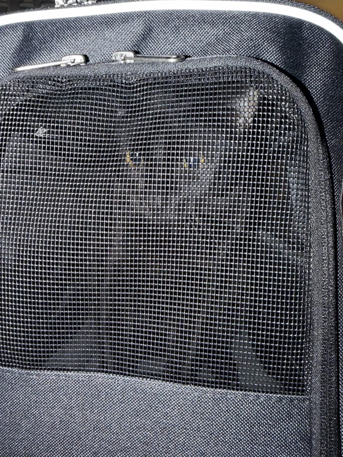 Morpilot Pet Carrier for Large Cats, Puppies & Small Dogs Up to 25lbs | Escape-Proof with Locking Zippers, Dual-Sided Cushion, Safety Buckle for Car & Vet Travel, Includes Foldable Bowl (Dark Gray) customer photo 2