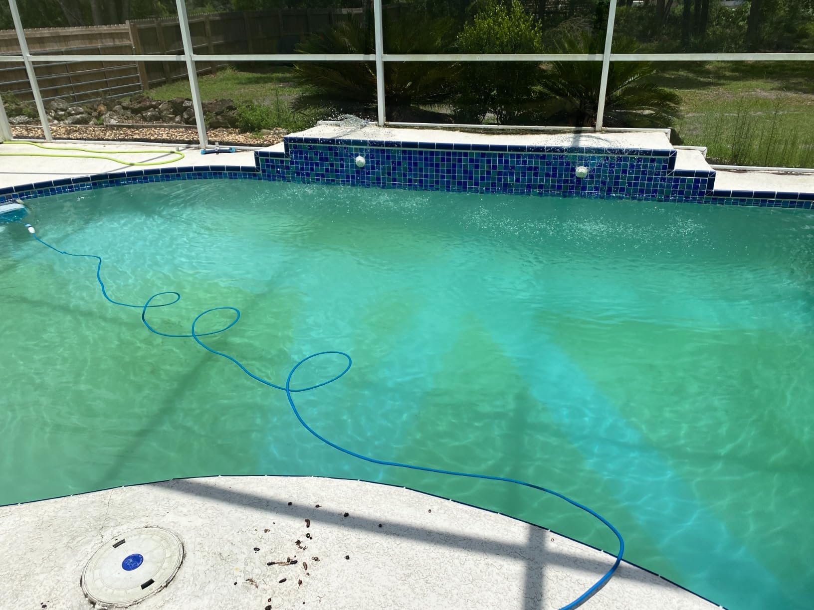 Dolphin Proteus DX4 Plus Automatic Robotic Pool Cleaner Ideal for Pools up to 33 FT, Wall & Sun-ledge Scrubbing, Top-Load Filter, Smart Navigation customer photo 2