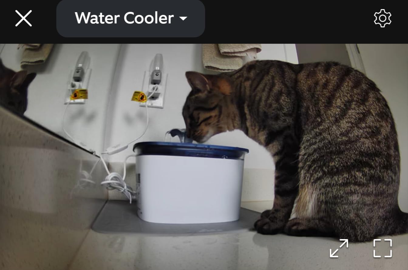 Veken Innovation Award Winner 95oz/2.8L Cat Water Fountain, C1 Classic customer photo 1