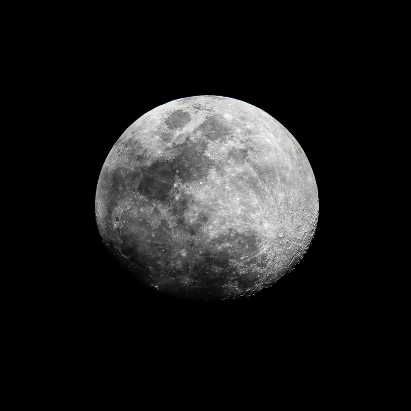 Sigma 150-600mm f/5-6.3 DG DN for Sony E - Beautiful Bokeh Throughout Zoom Range customer photo 1