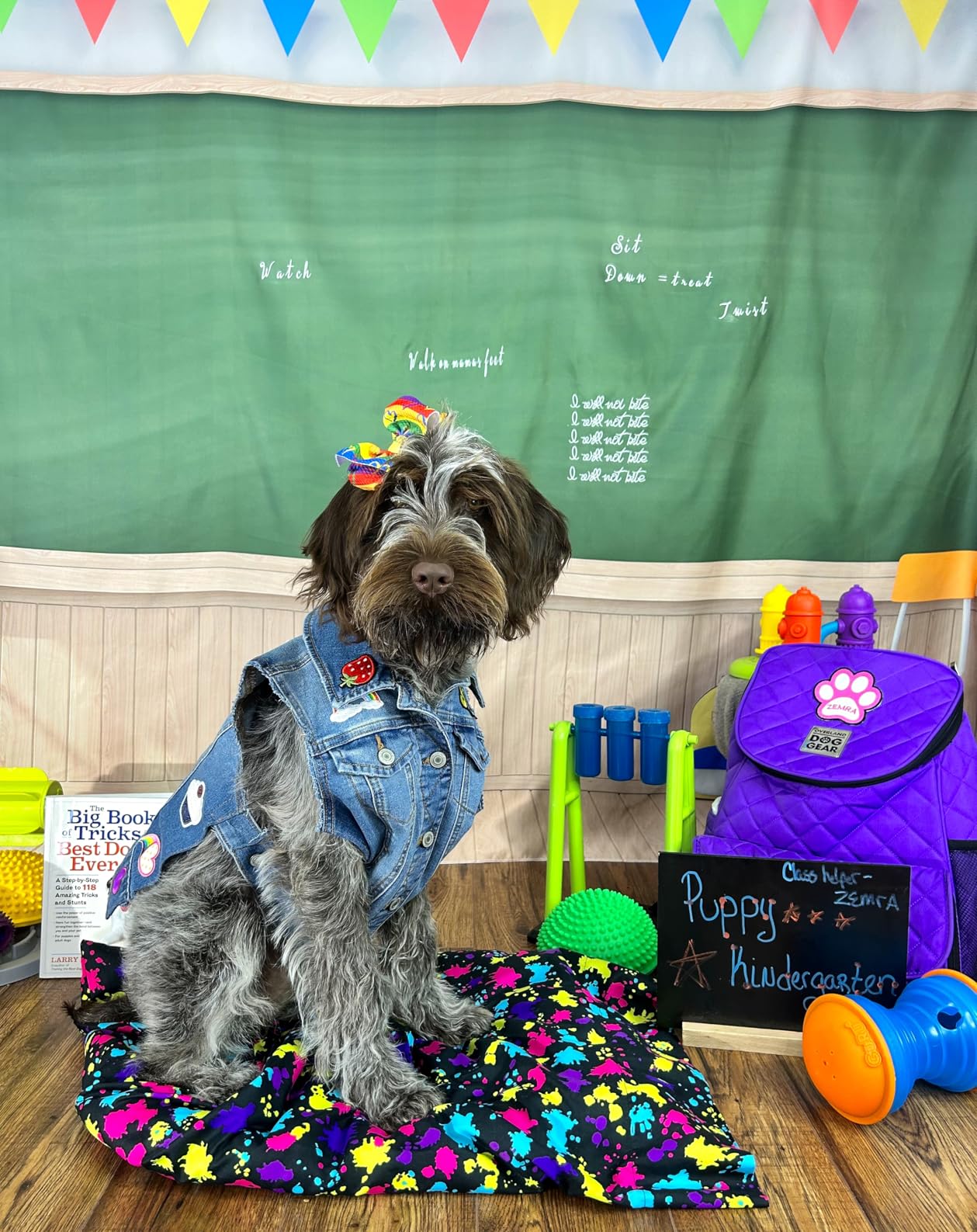 Fabric 7x5ft Back to School Chalkboard Digital Classroom Backdrop Wooden Floor School Picture Backdrop for Photography Teaching Online Classes Photoshoot Props customer photo 1