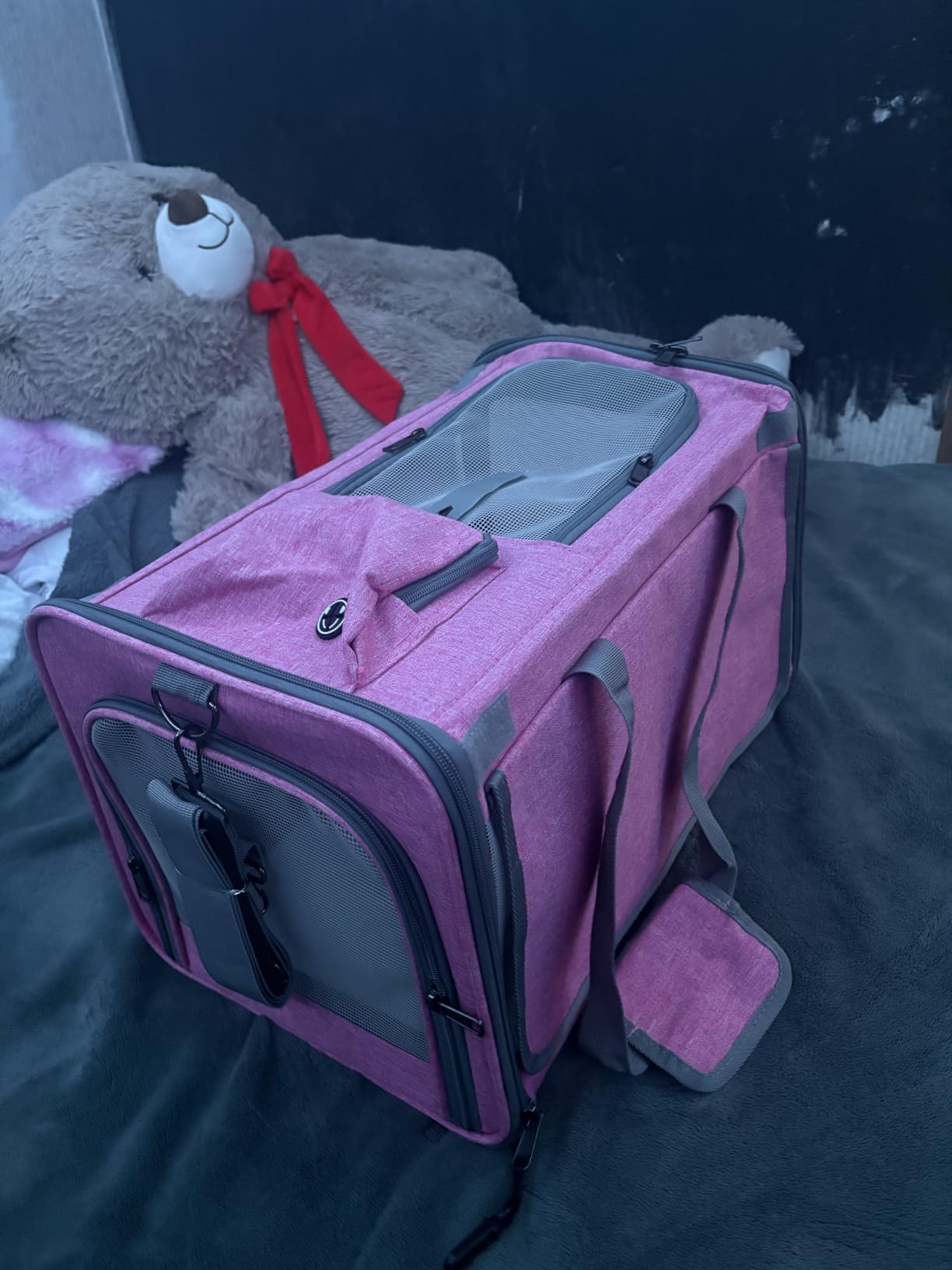 GAPZER Pet Carrier for Large Cats up to 20lbs Soft-Sided Privacy Protection | Pet Crate for Medium to Big Kitten Small Puppy Transport, Washable Dog Cloth Carry Bag Home Outdoor Car Travel, Vet Visits customer photo 1