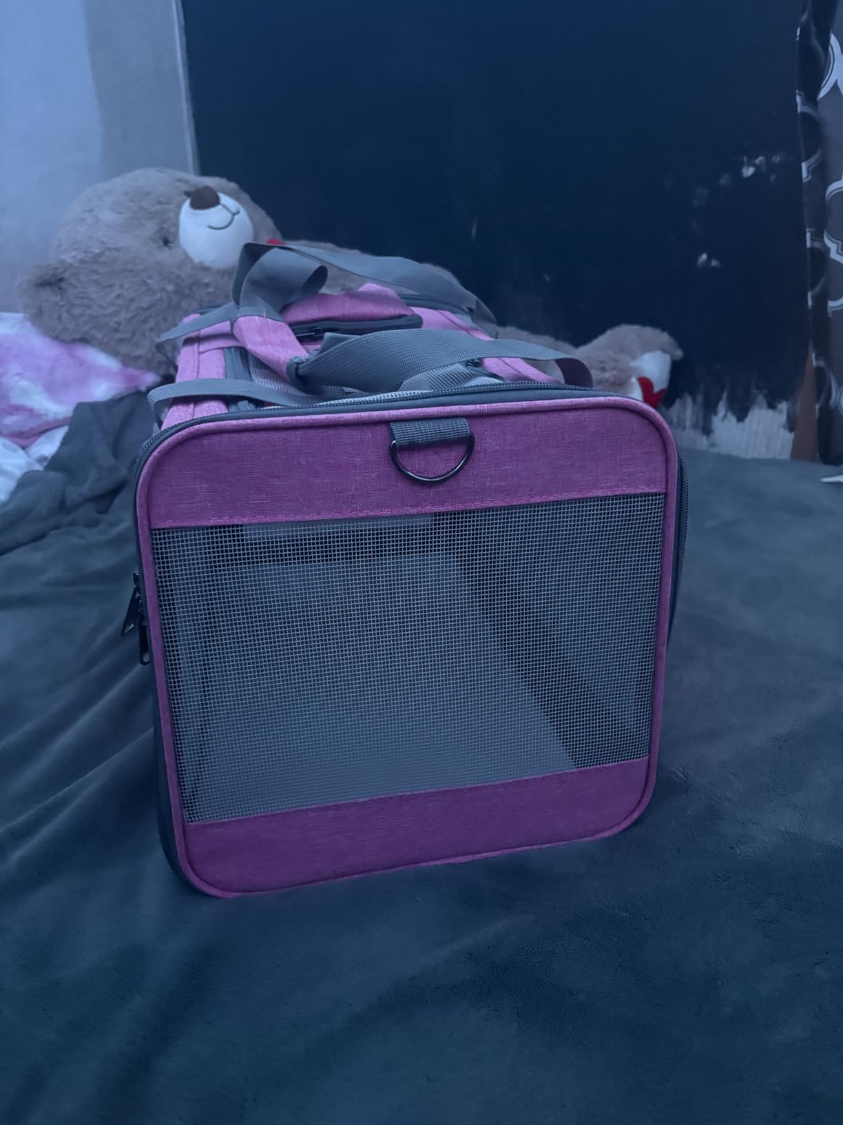 GAPZER Pet Carrier for Large Cats up to 20lbs Soft-Sided Privacy Protection | Pet Crate for Medium to Big Kitten Small Puppy Transport, Washable Dog Cloth Carry Bag Home Outdoor Car Travel, Vet Visits customer photo 2
