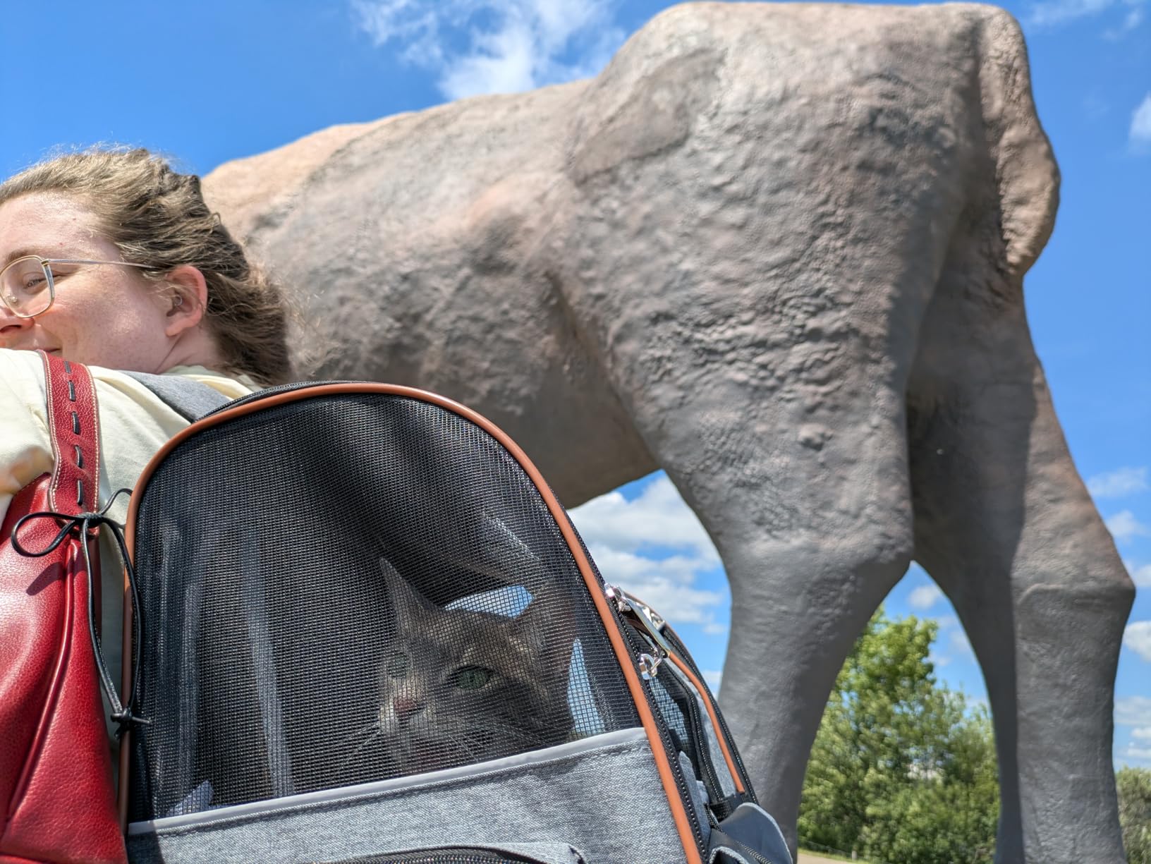 Cat Carrier Backpack, Expandable Pet Carrier with Sun Shade & Full Front Opening, Breathable Mesh Backpack for Small Dogs & Medium Cats Up to 18 Lbs, Foldable for Hiking, Camping (Grey) customer photo 1