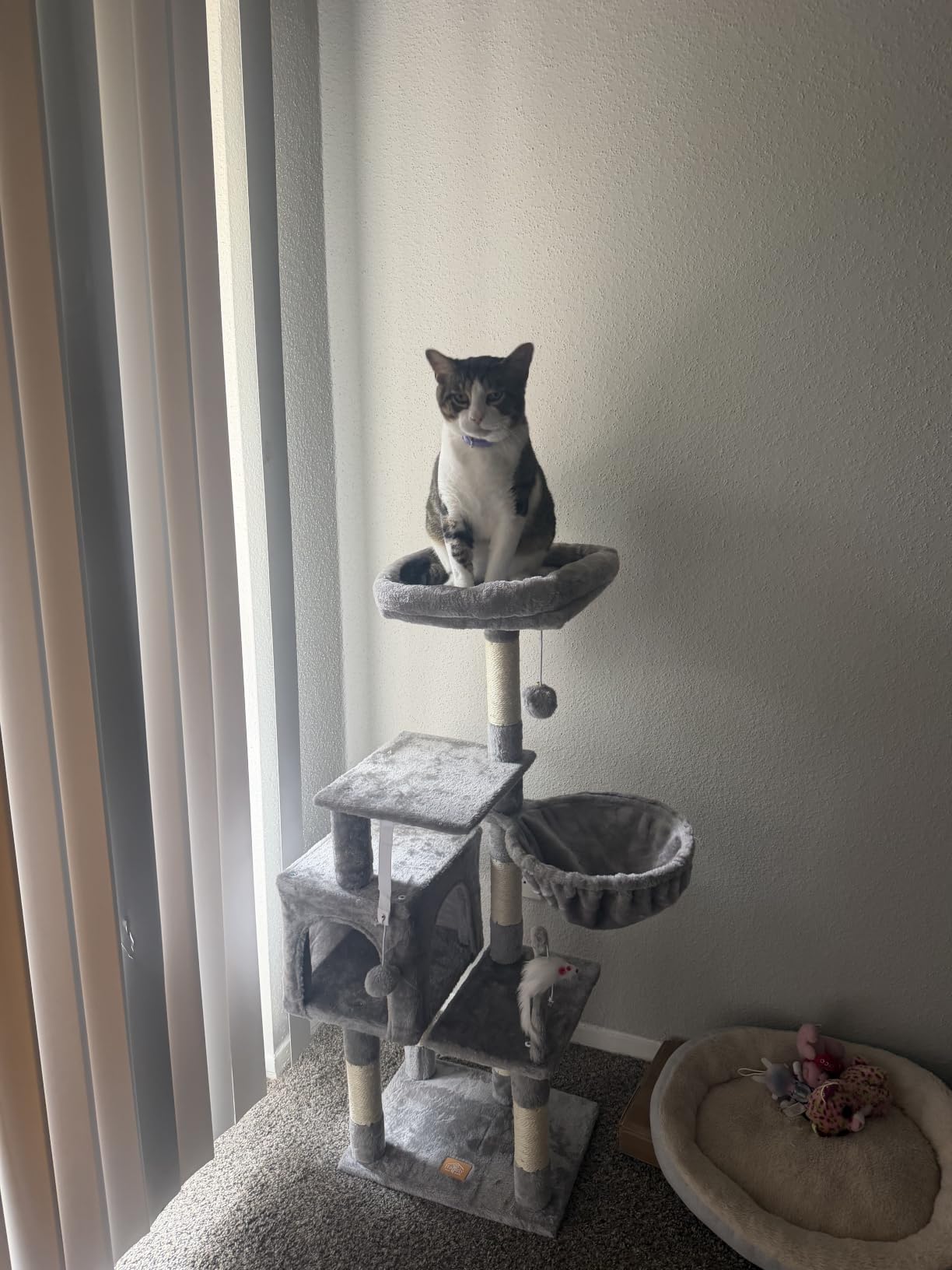 Heybly Cat Tree with Toy, 43.3 inch Cat Tower for Indoor Cats HCT004SG customer photo 2