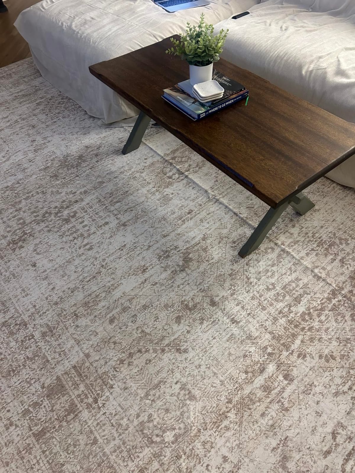 Soalmost Washable Area Rug 8x10 Large Soft Beige Rugs for Living Room, Vintage Non-Slip Carpet for Dining Bedroom, Stain Resistant Low Pile Foldable Lightweight Floor Mat Under Table Home Decor customer photo 1
