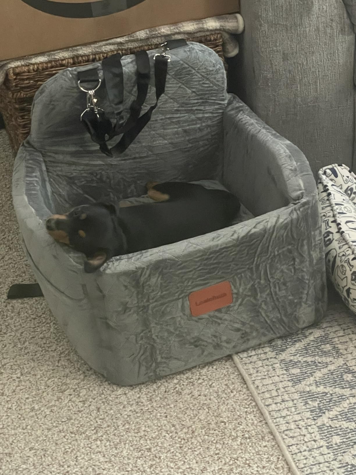 Lealchum Dog Booster Car Seat for Small/Medium Dogs Up to 35lbs,Elevated Cushion Fits in Front/Back Seat,Fully Detachable and Washable,2 Storage Pockets & Dog Leashes,Easy to Install(Black,Medium) customer photo 2