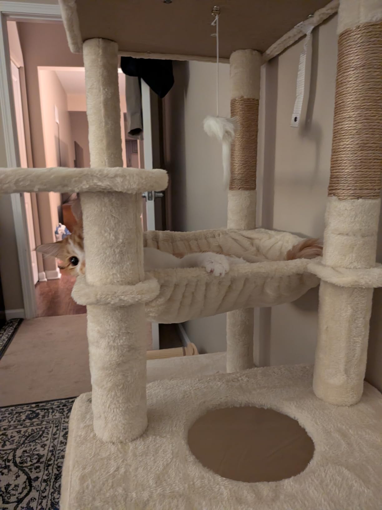 Globlazer F70 Pro Heavy Duty Cat Tree Tower for Indoor Cats Large Adult customer photo 1