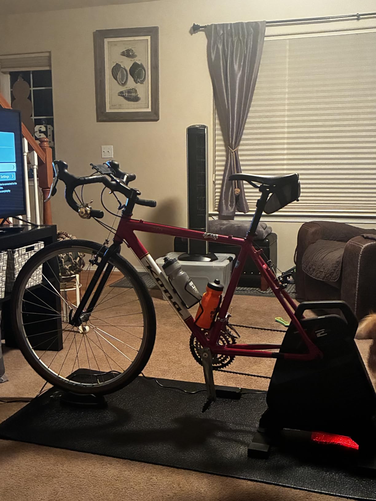 ThinkRider X2Max Smart Bike Trainer,2000w,Simulates 18% Slope,ANT + & BLE customer photo 2