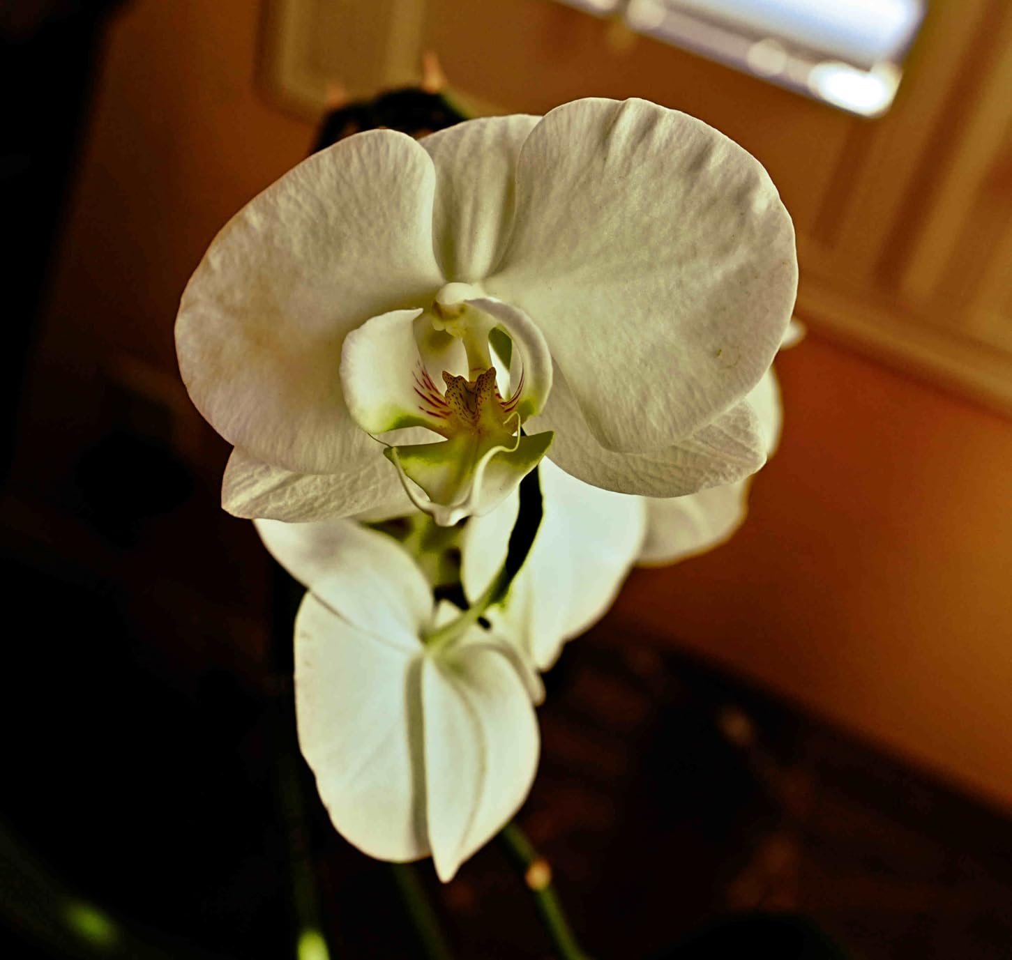 K&F Concept 82mm True Color Ultra-Low Reflectivity Polarizing Lens Filter (CPL) FC704 customer photo 1