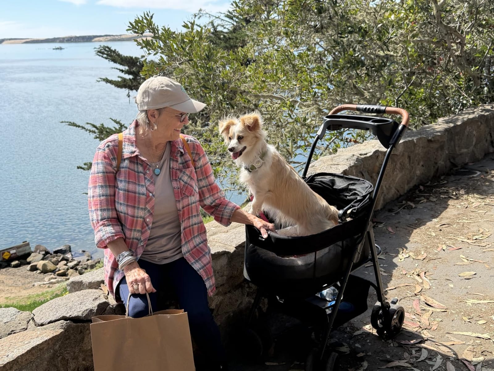 Zoosky 3 in 1 Dog Stroller, Folding Pet Stroller w/Removable Carrier | Small/Medium Dogs and Cats, Waterproof, All-Terrain & 2 Sun Shades, Car Seat, 360° Breathable Mesh customer photo 1