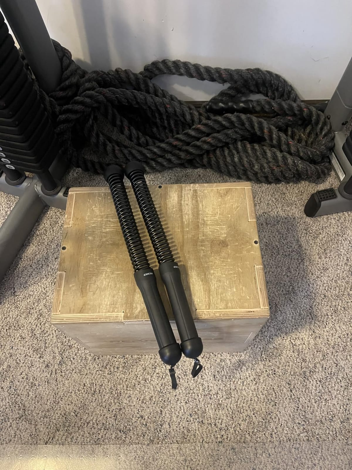 Cordless Battle Rope for Home Gym, Heavy Duty Portable with Poster customer photo 1