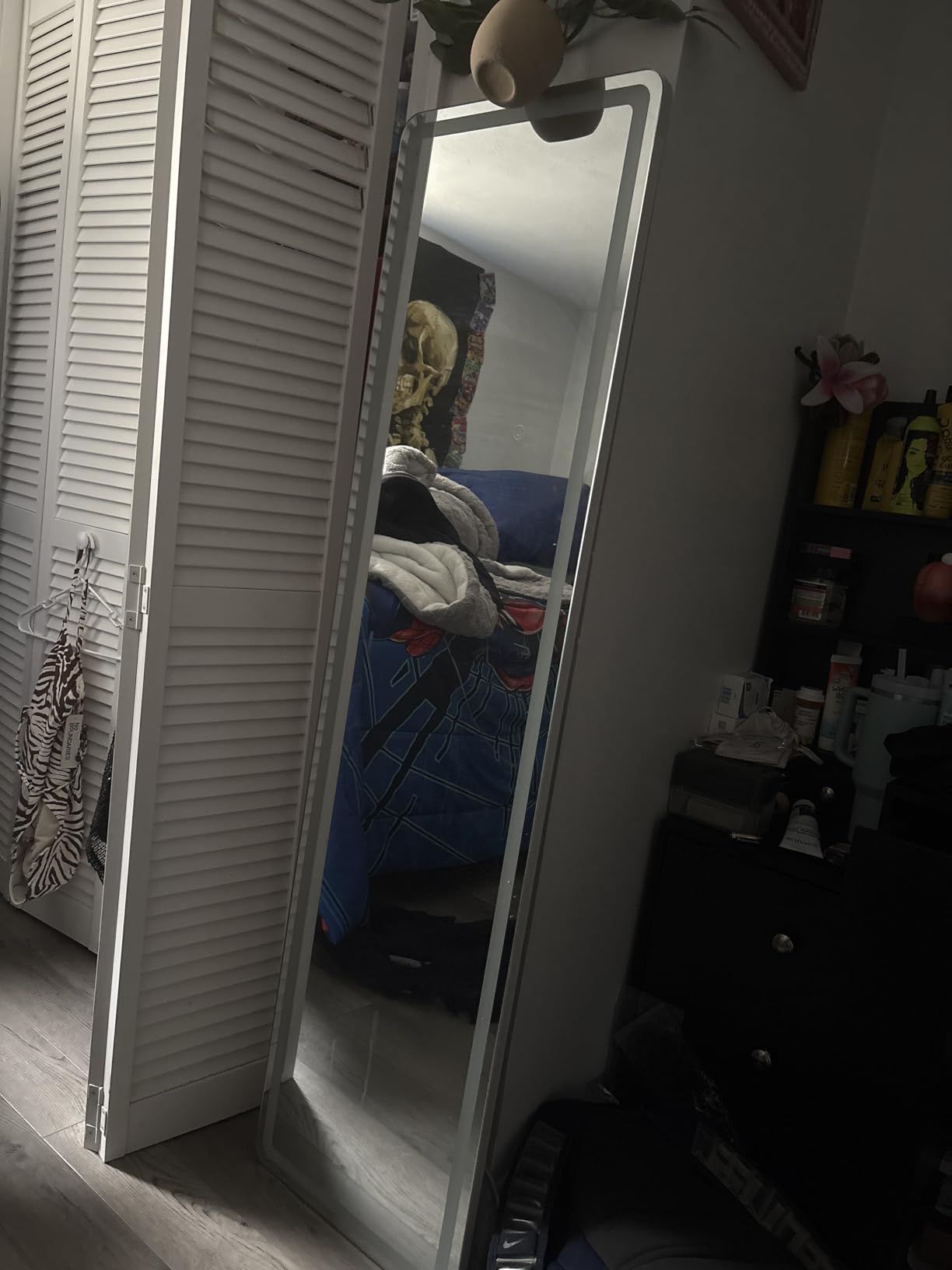 Sweetcrispy LED Full Length Floor Mirror, 65