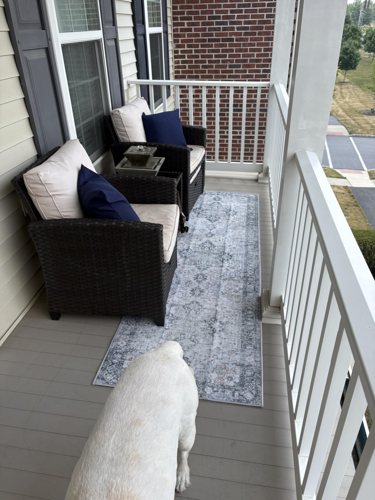 GENIMO 5x8 Outdoor Rug, Washable for Patio and Deck, Blue | Vintage boho medallion design for porch; fade resistant chenille with quick-dry non-slip backing for indoor sunroom. customer photo 2