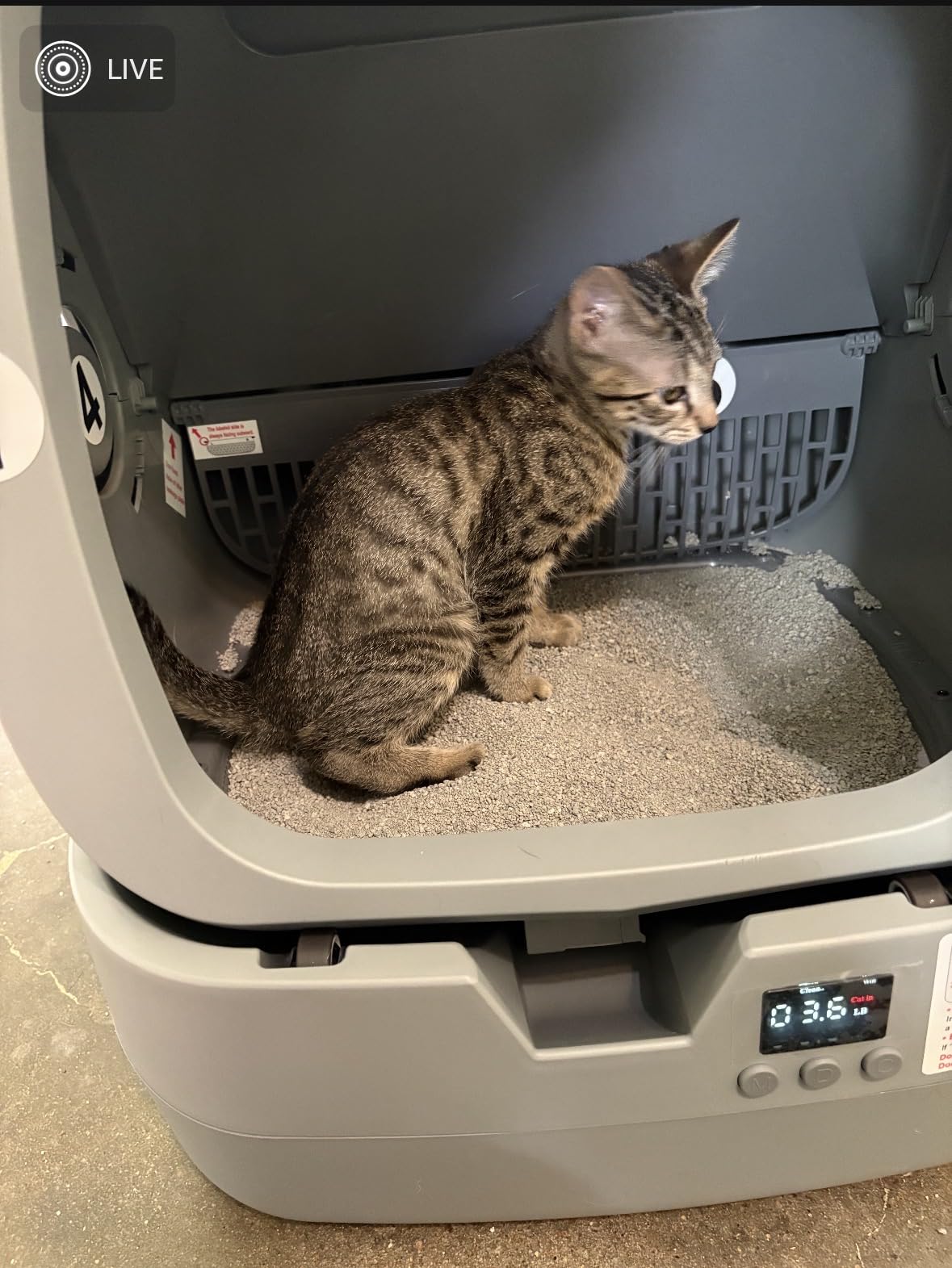 UPFAS Automatic Cat Litter Box Self Cleaning - APP Control - Weight Monitoring - Ultra-Quiet, Medium Cats and Kittens Litter Box, Safe Anti-Pinch customer photo 2