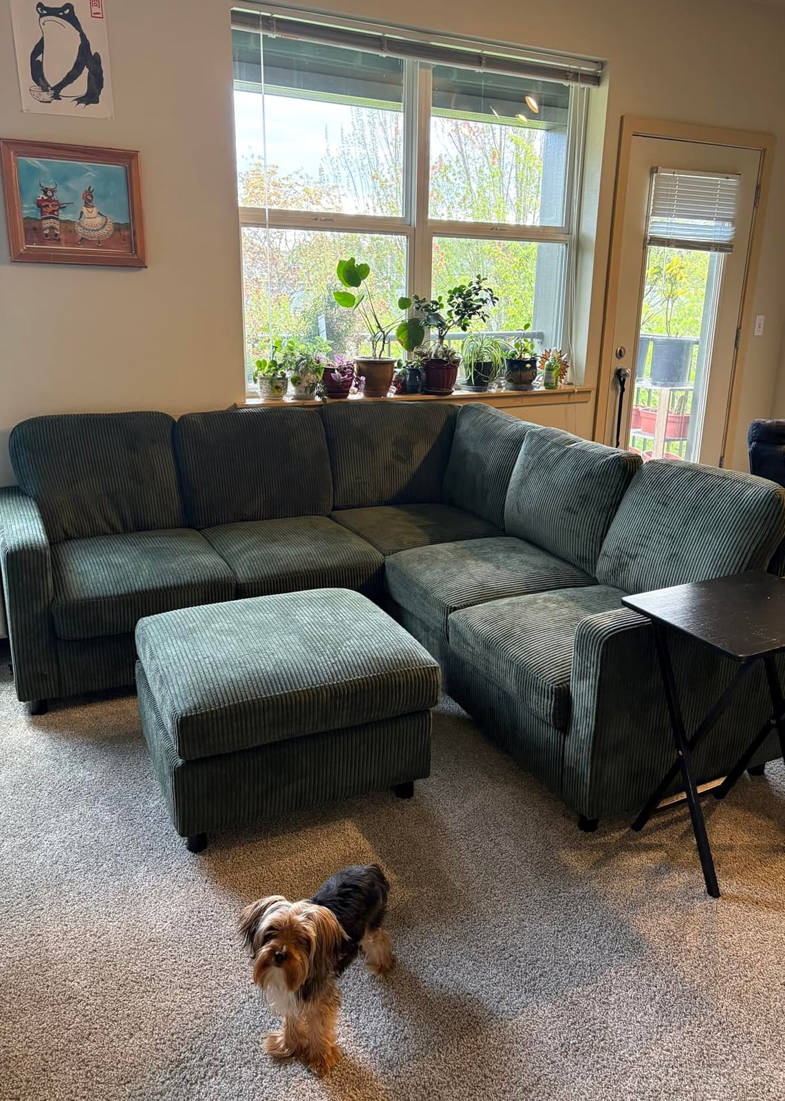 HONBAY Sectional Sofa, 6 Seats 80 Inch L Shaped Couch with Ottoman Pet-Friendly for Small Apartment Living Room, Light Grey customer photo 1