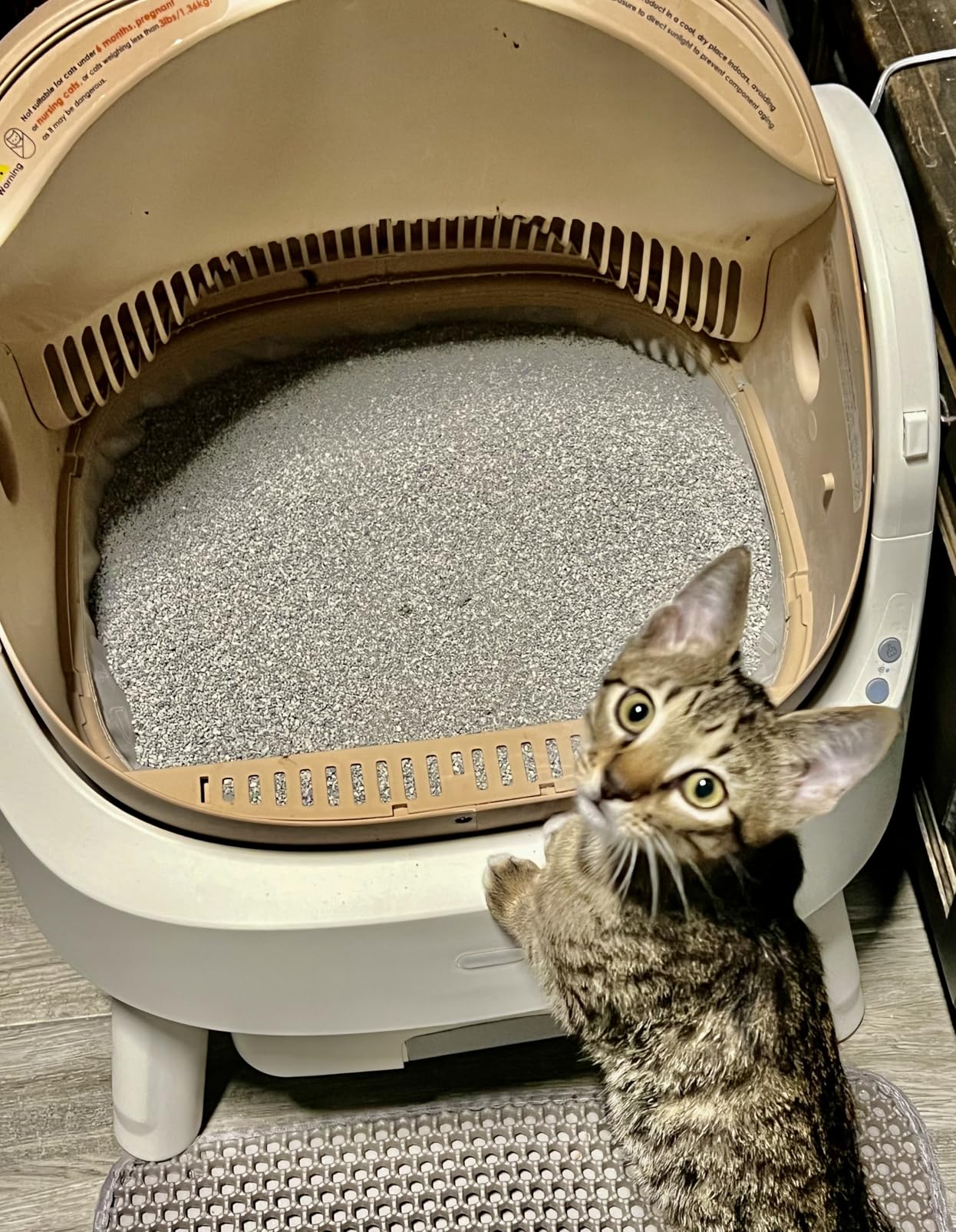 Self Cleaning Litter Box, Self Cleaning Cat Litter Box, Open-Top Design - No app or Wi-Fi needed customer photo 2