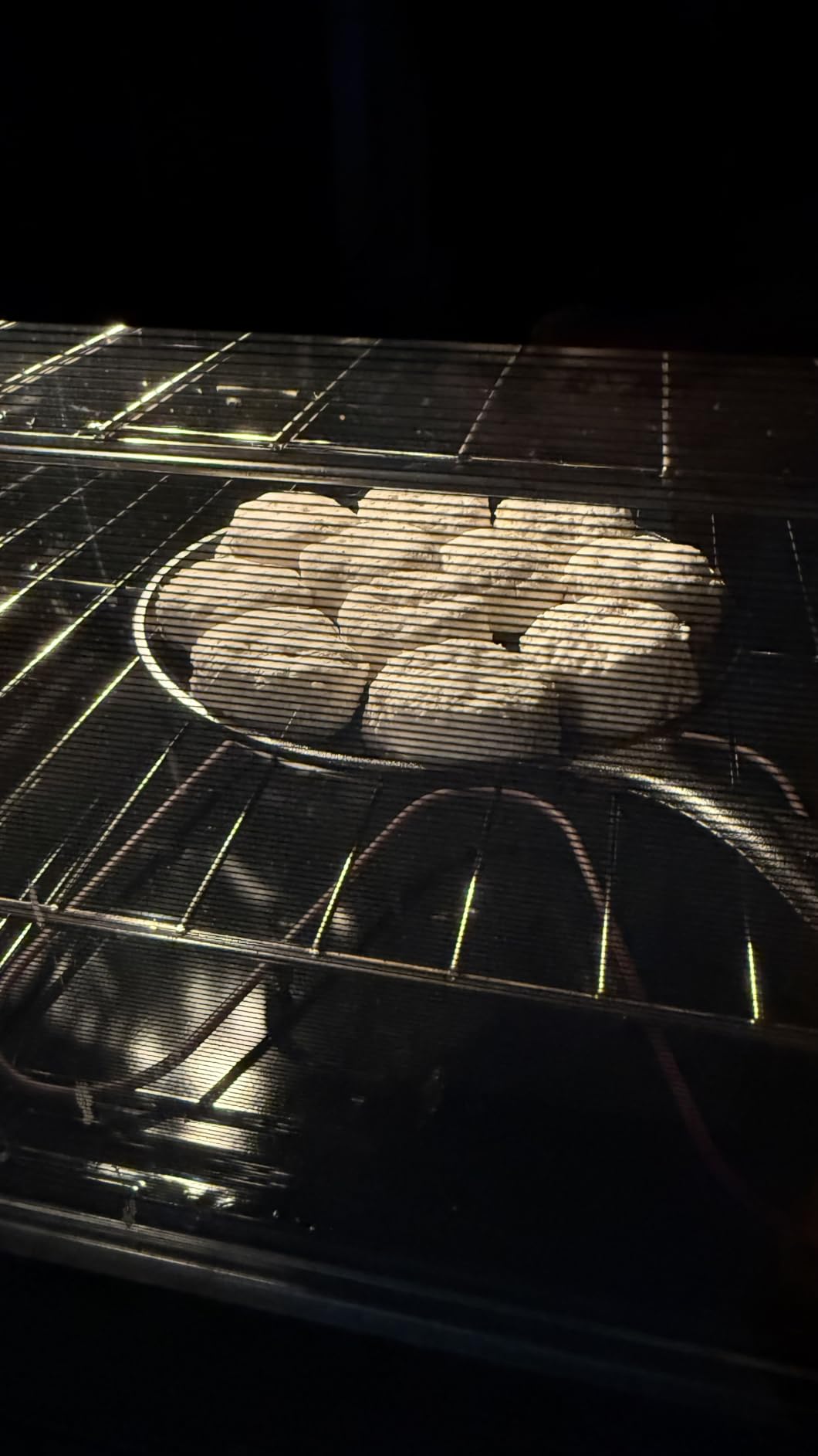 Lodge Round Seasoned Cast Iron Griddle, PFAS-Free, 10.5 Inches customer photo 2
